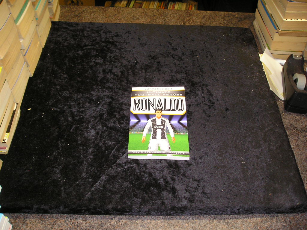 Image 0 of Ronaldo: From the Playground to the Pitch (Heroes)