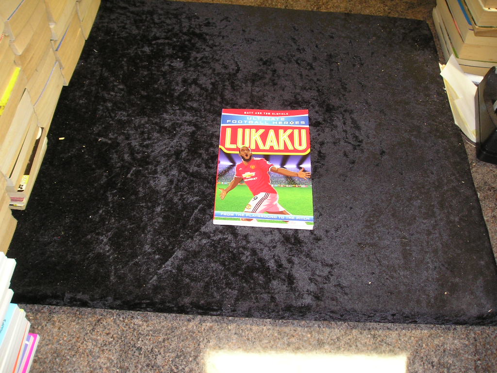Image 0 of Lukaku: From the Playground to the Pitch (Ultimate Football Heroes)