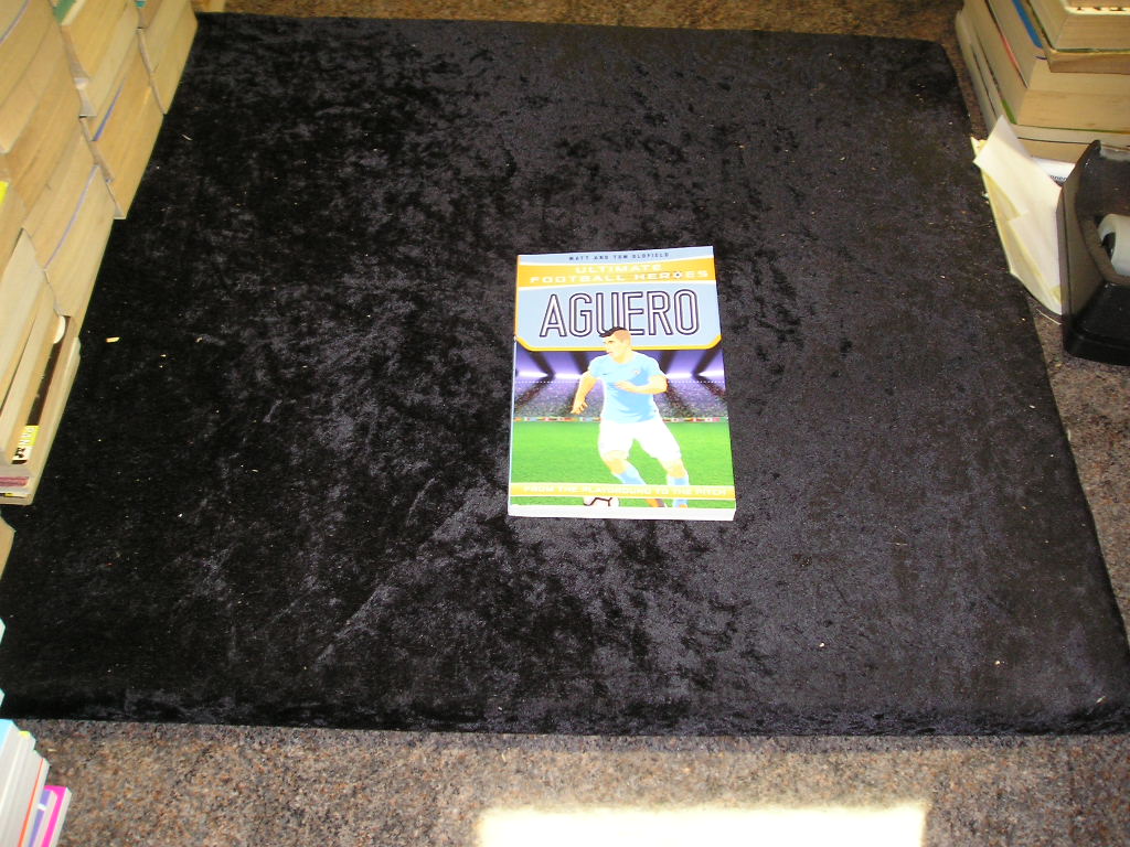 Image 0 of Aguero: From the Playground to the Pitch (Ultimate Football Heroes)