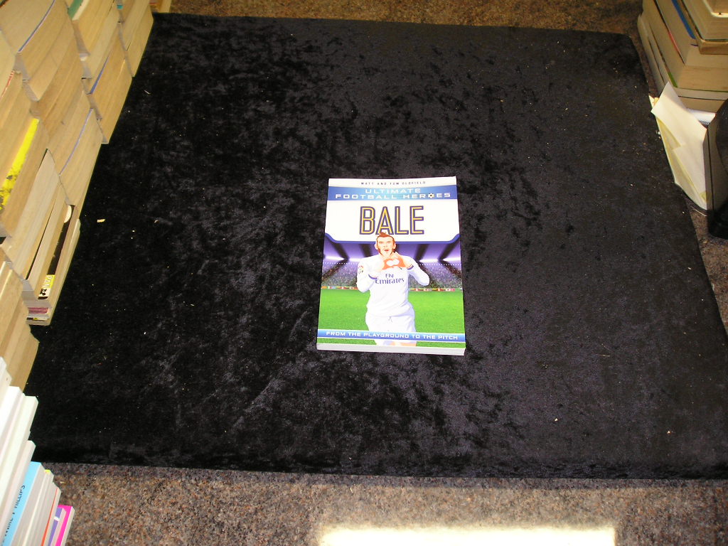 Image 0 of Bale: From the Playground to the Pitch (Ultimate Football Heroes)