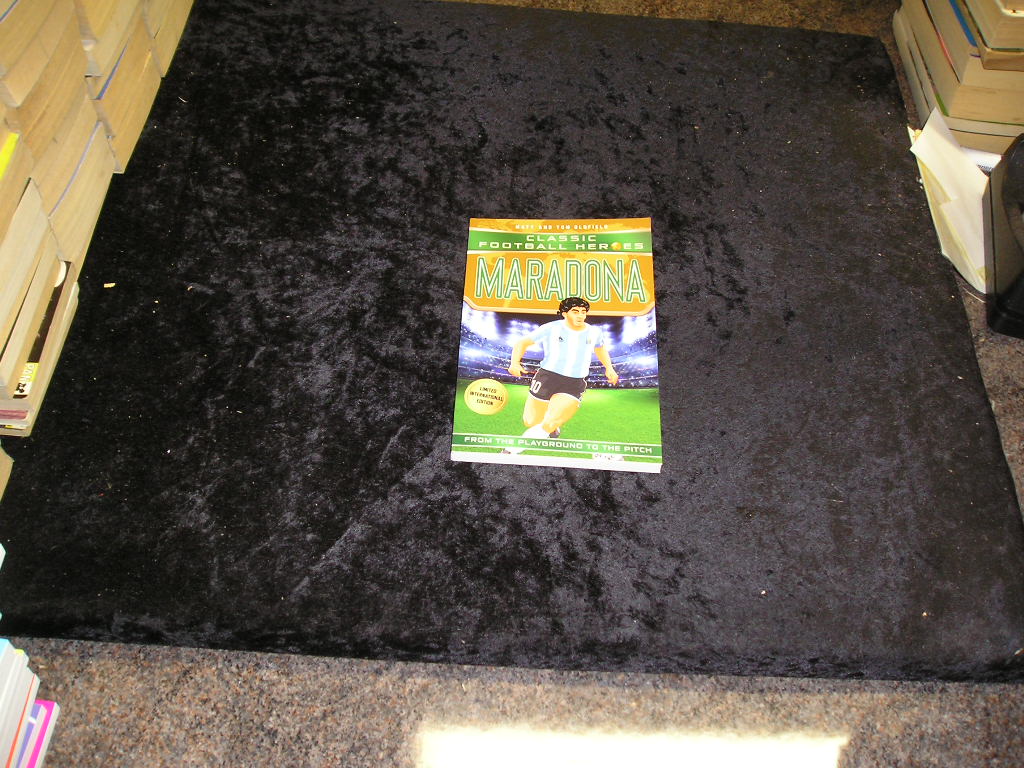 Image 0 of Maradona: Classic Football Heroes - Limited International Edition (Football Hero