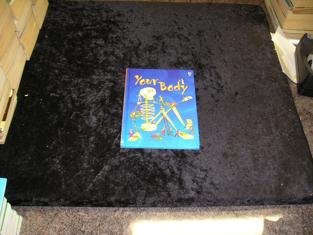 Image 0 of Your Body (Usborne Beginners) (Usborne Beginners)