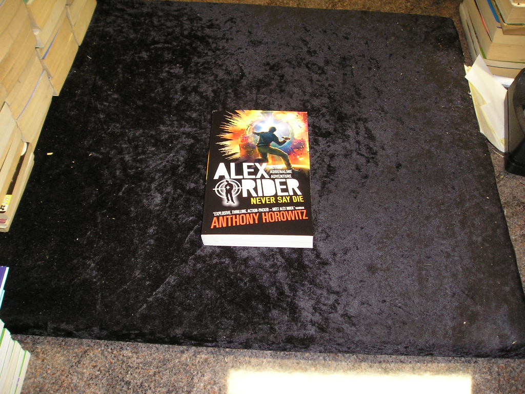 Image 0 of Alex Rider Never Say Die