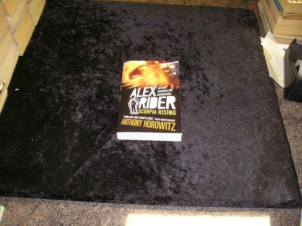 Image 0 of ALEX RIDER MISSION 9: SCORPIA RISING