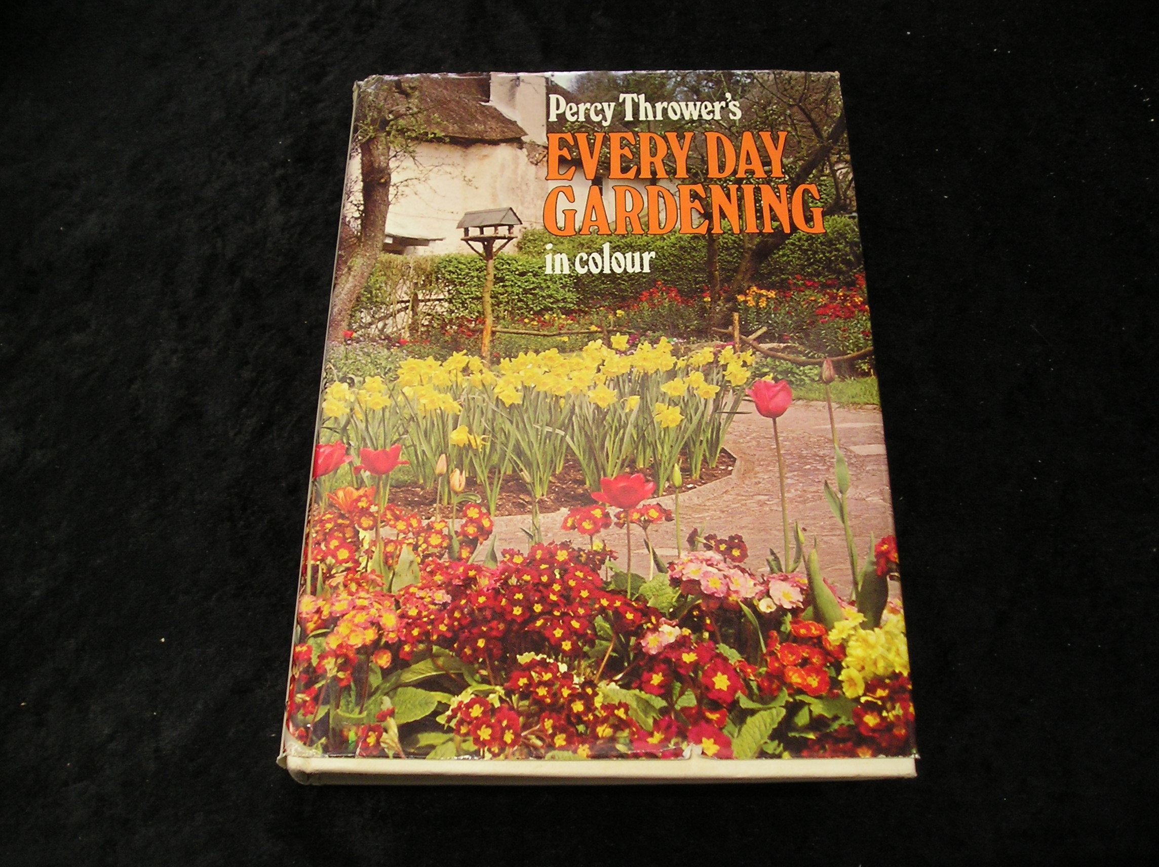 Image 0 of Every Day Gardening