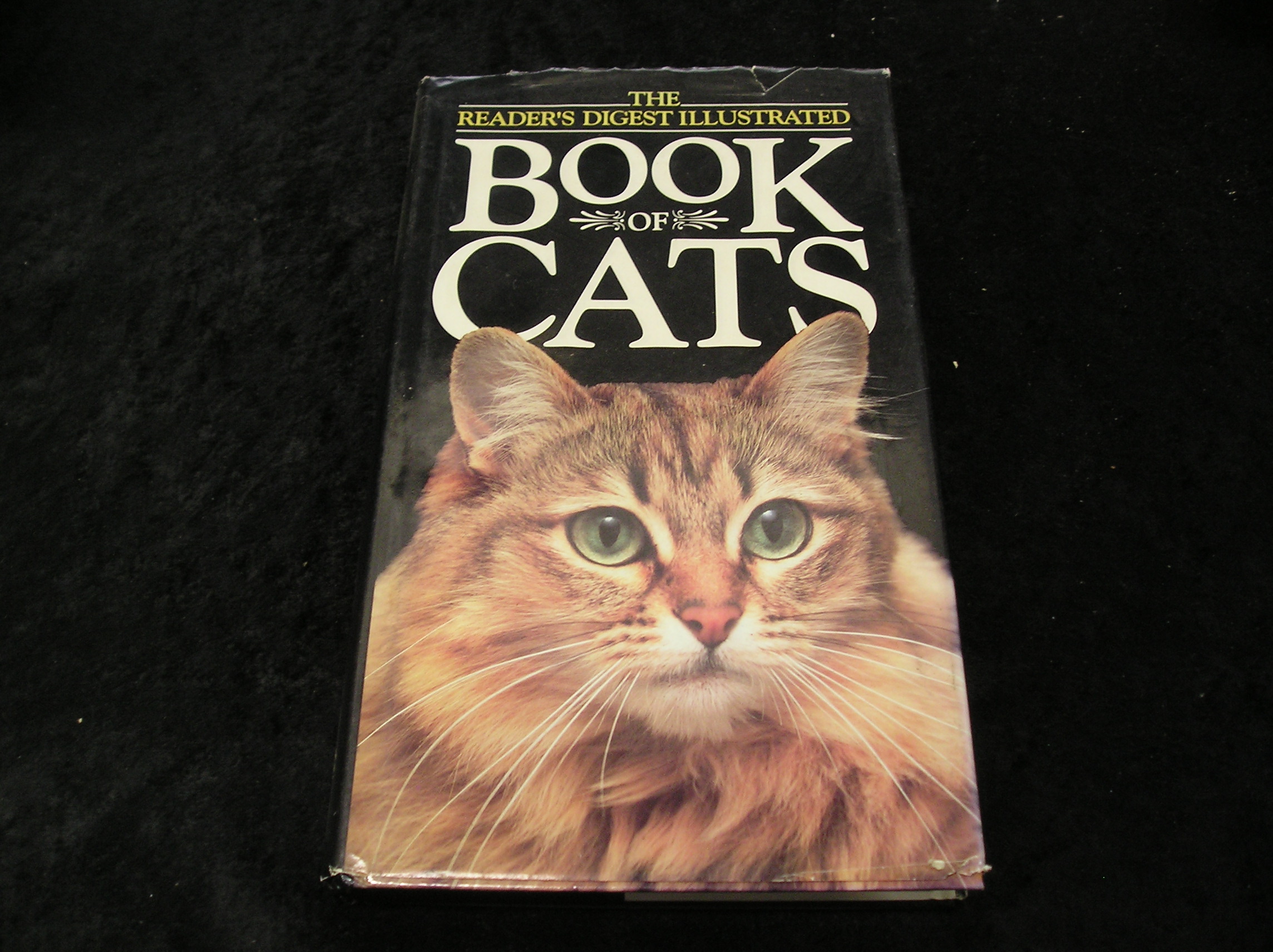 Image 0 of Book of Cats