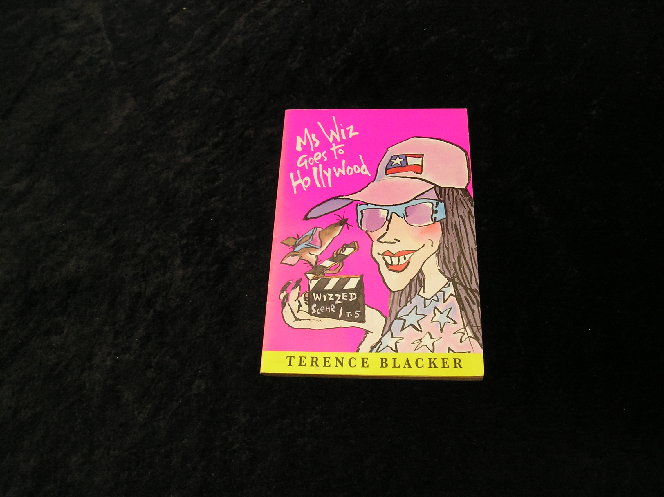 Image 0 of Ms Wiz Goes to Hollywood