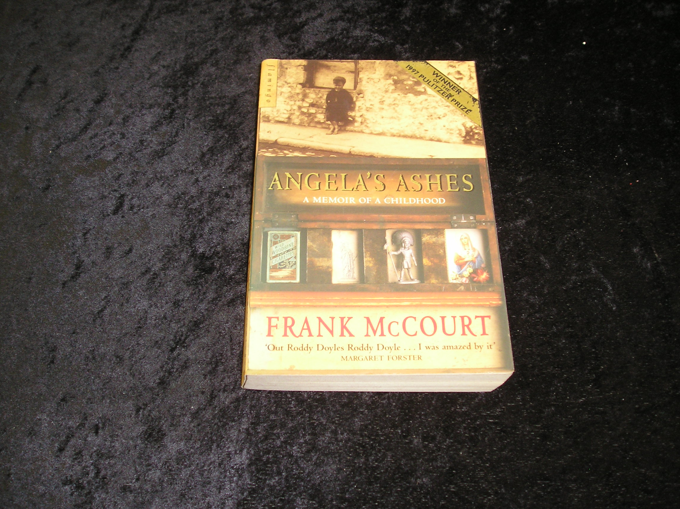 Image 0 of Angela's Ashes