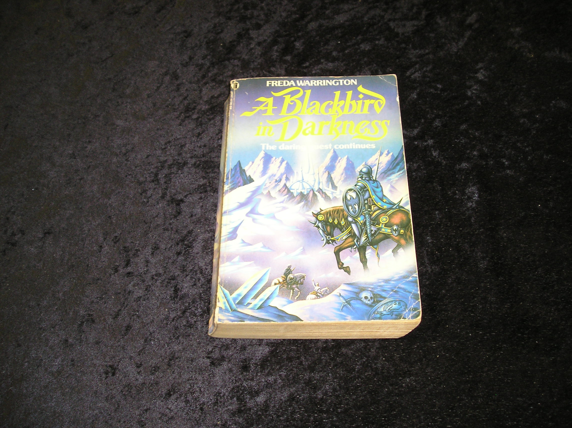 A Blackbird in Darkness