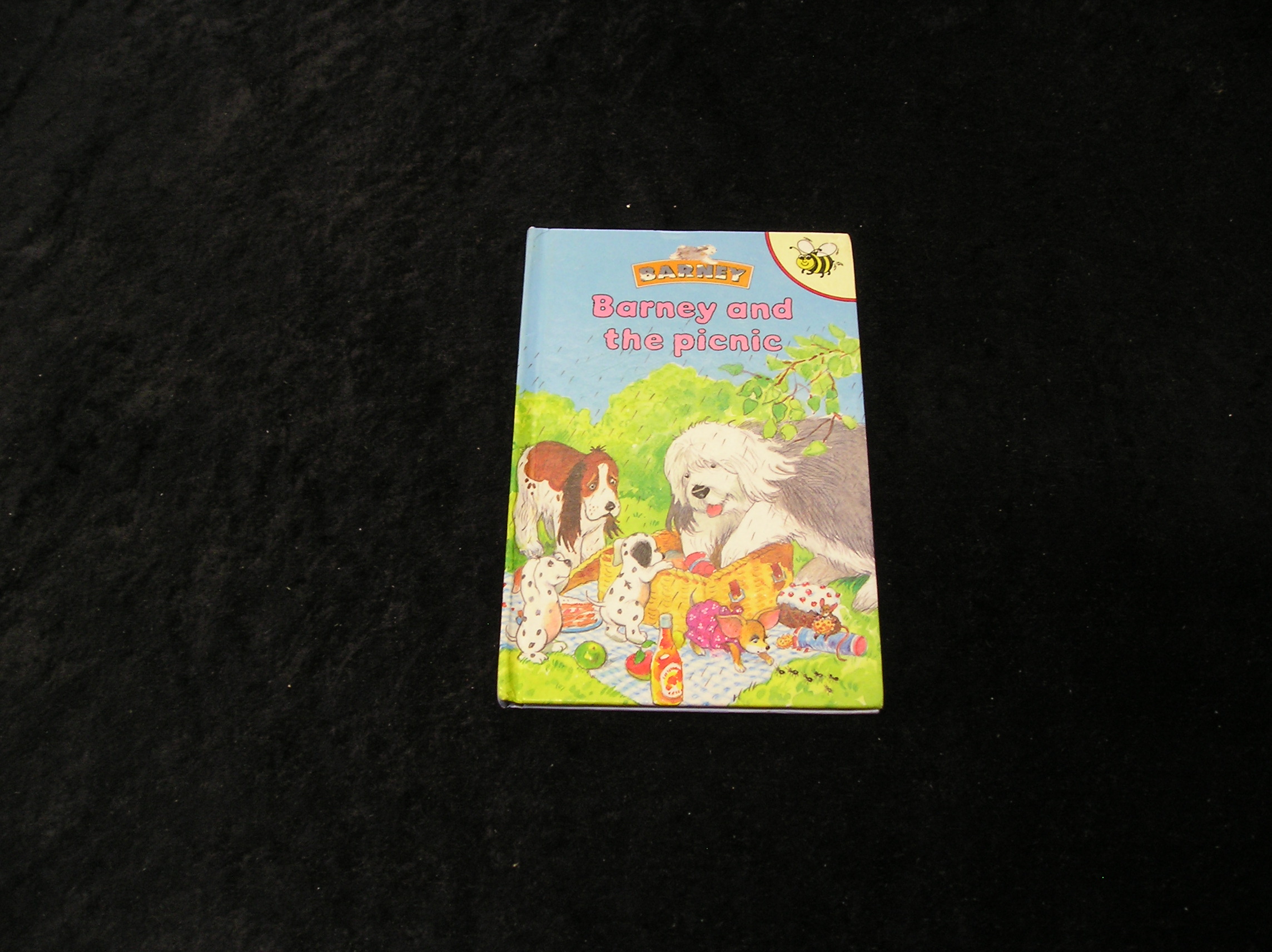 Image 0 of Barney and the Picnic