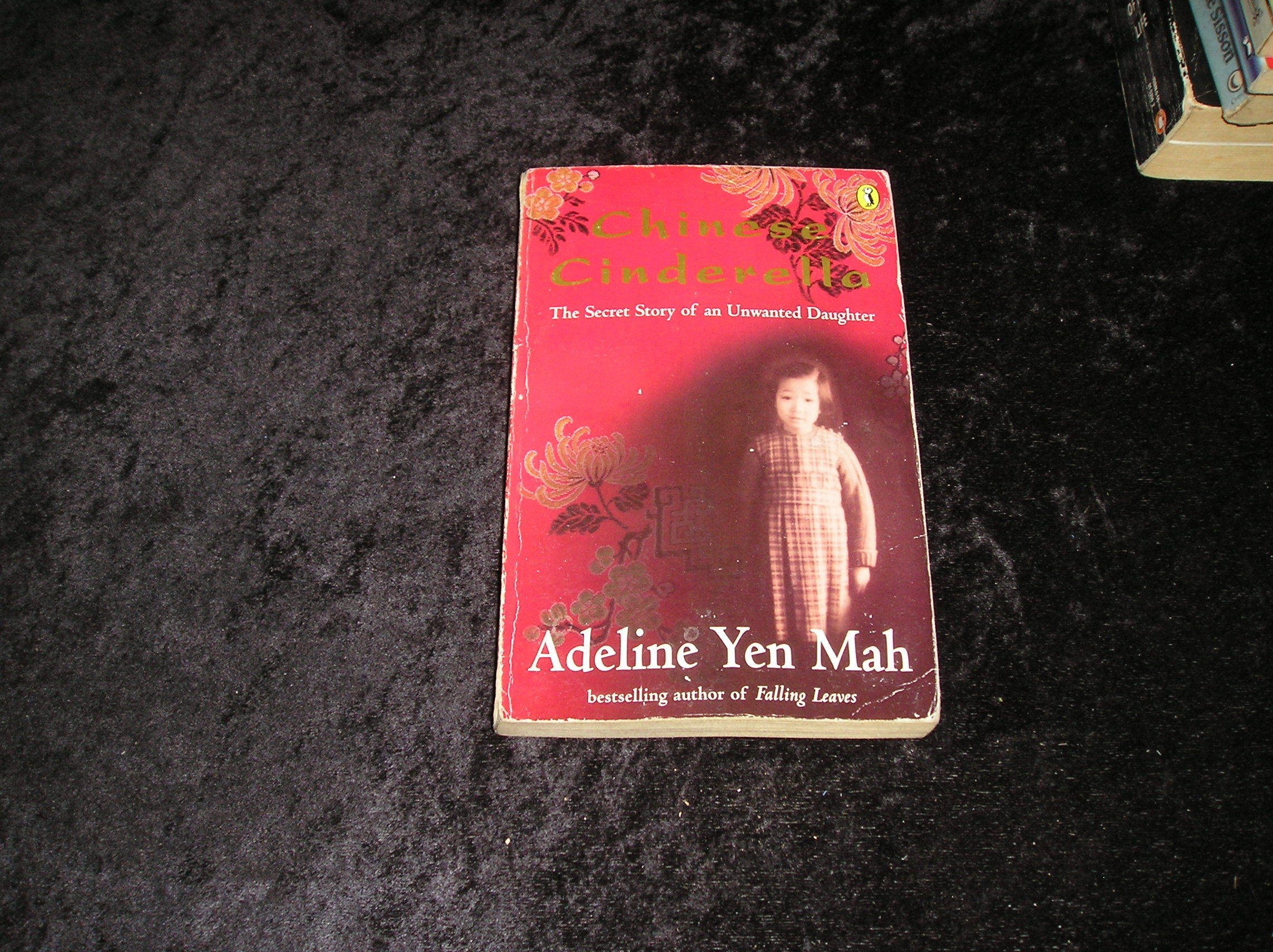 Image 0 of Chinese Cinderella