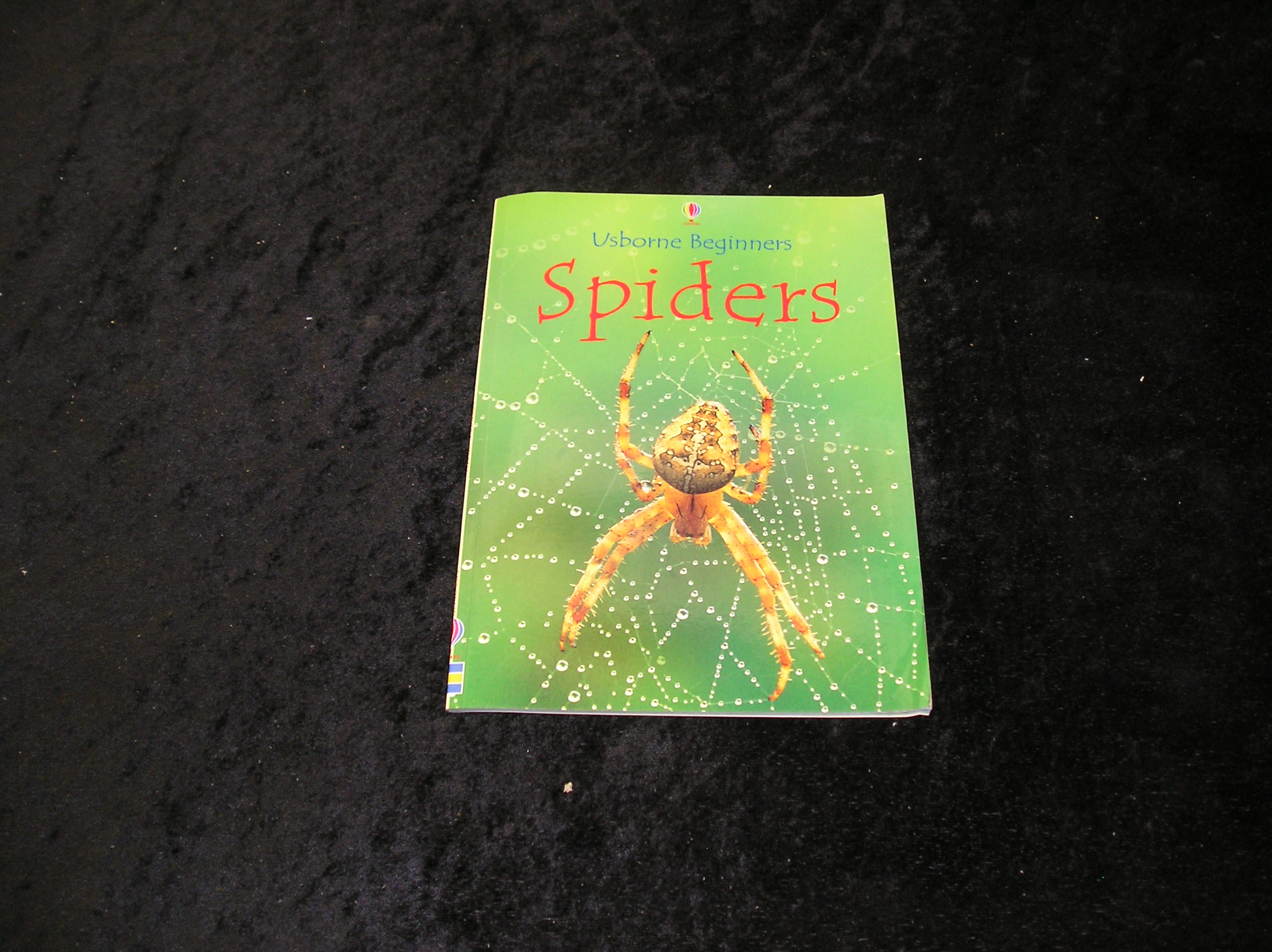 Image 0 of Spiders
