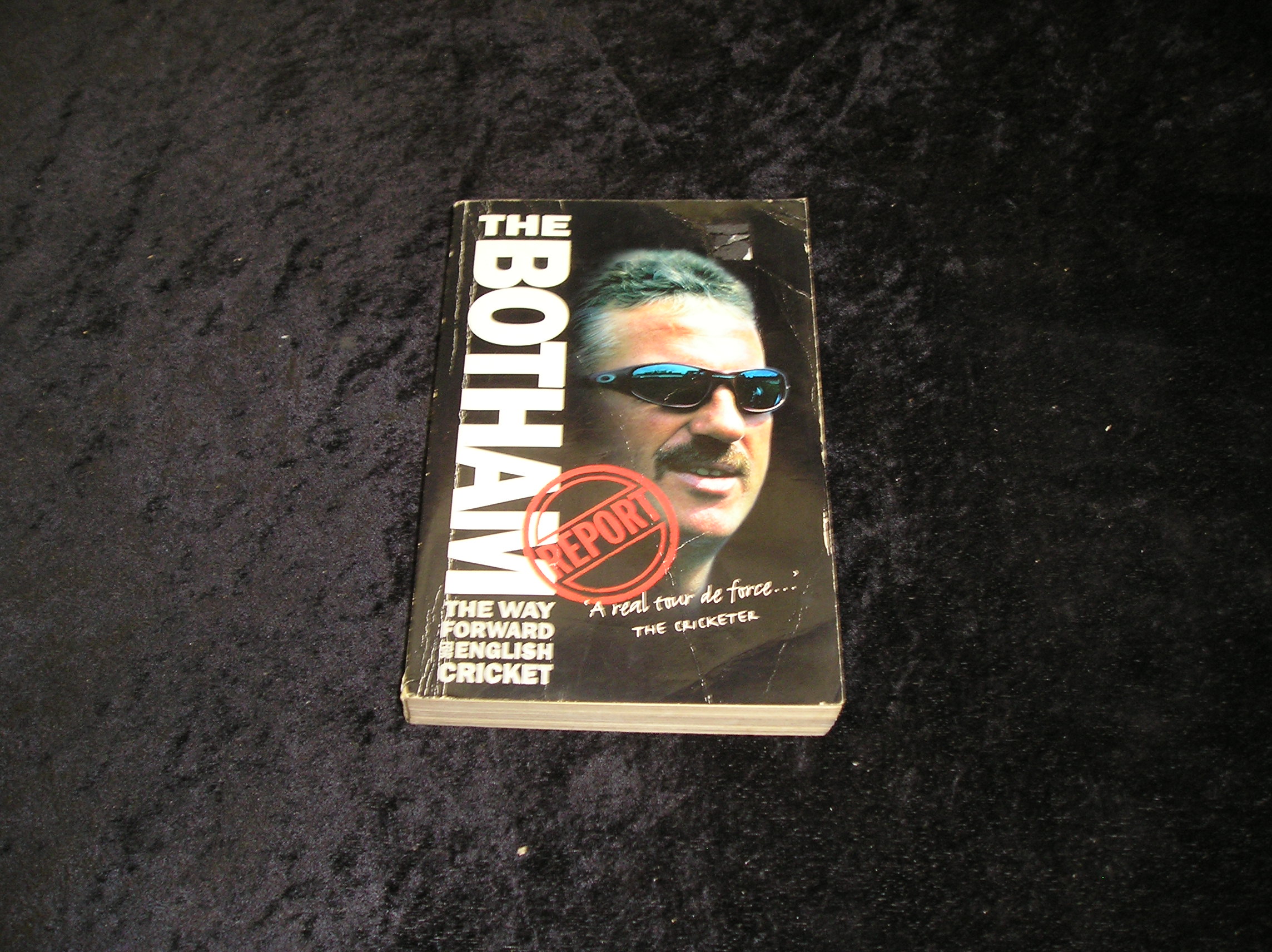 Image 0 of The Botham Report