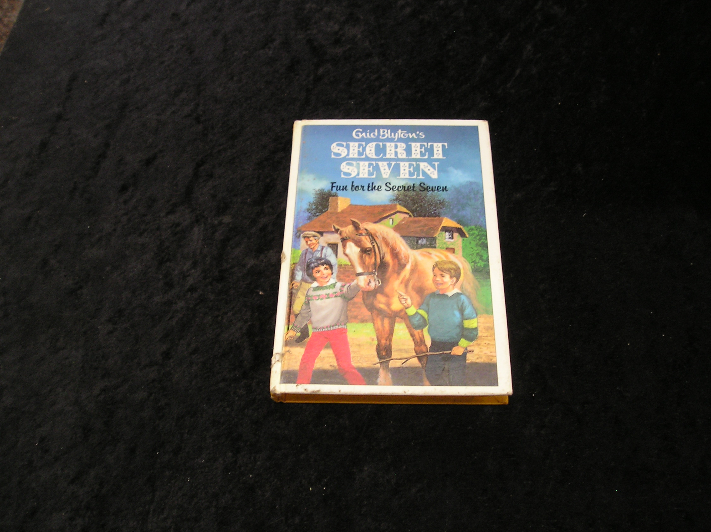 Image 0 of Fun for the Secret Seven