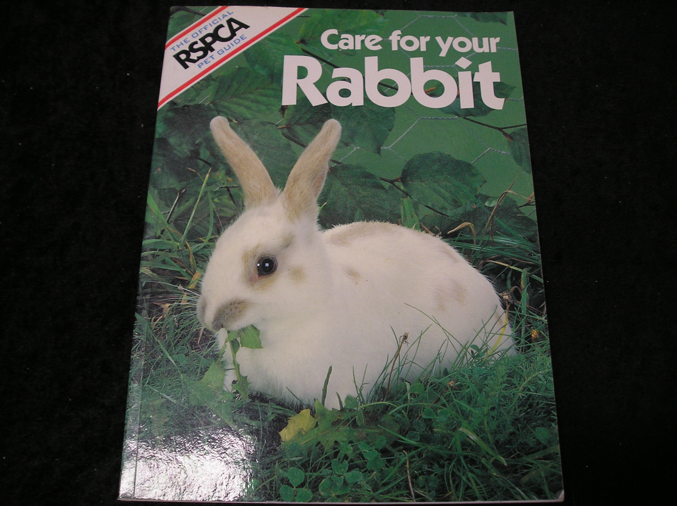 Image 0 of Care For Your Rabbit