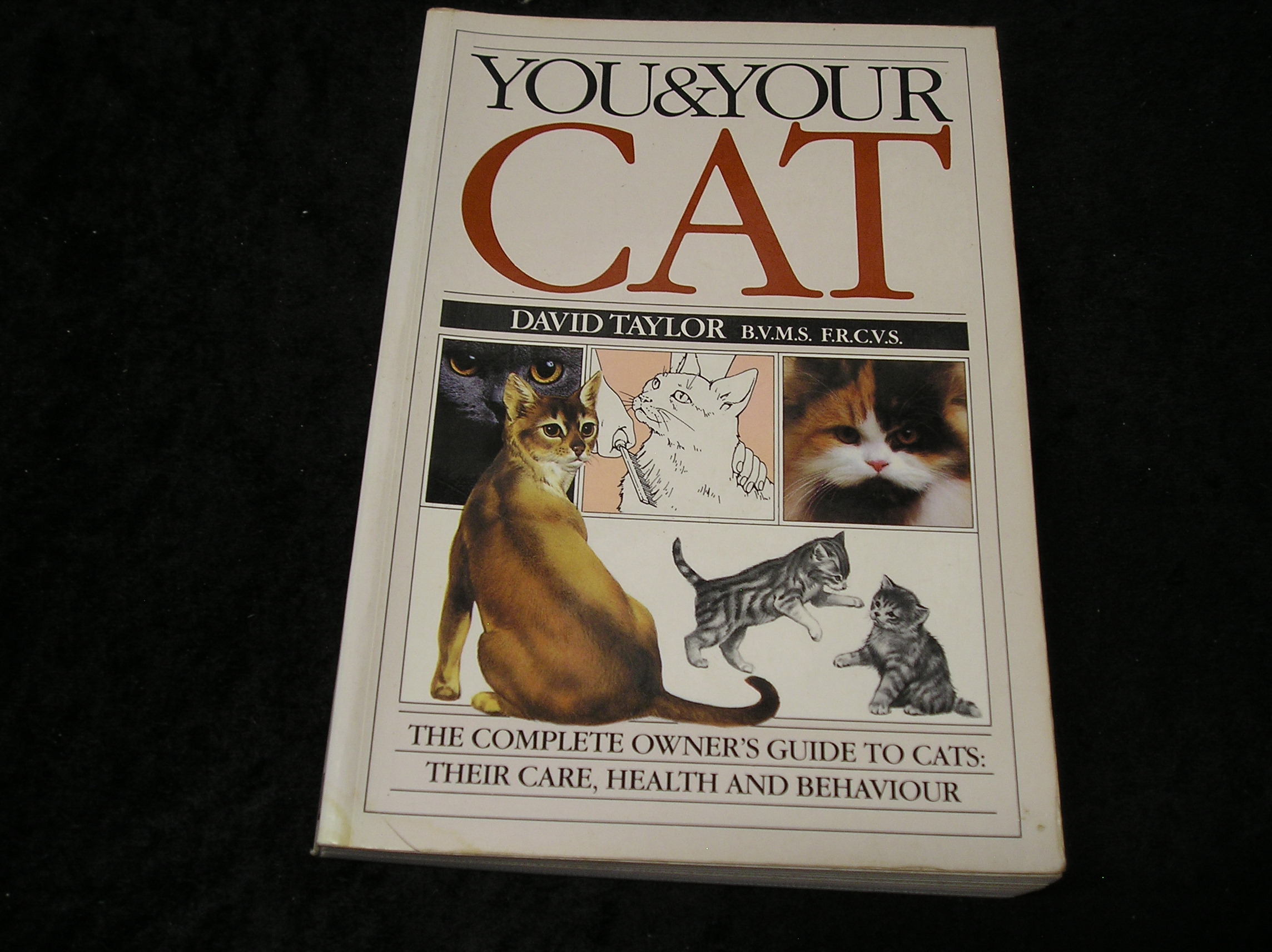 Image 0 of You and Your Cat