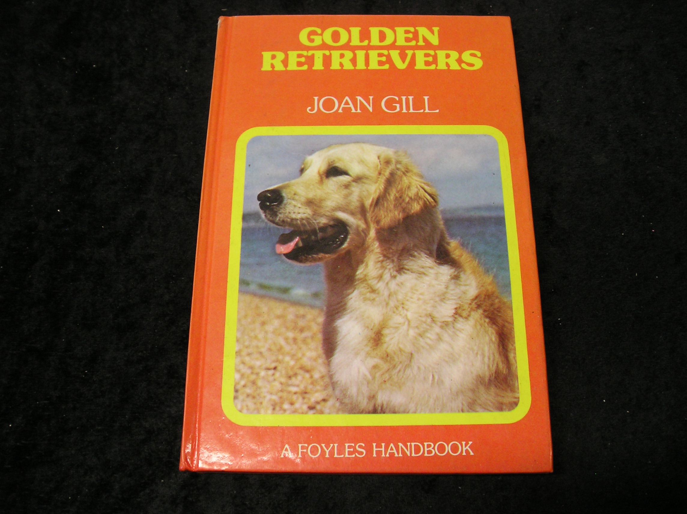 Image 0 of Golden Retrievers