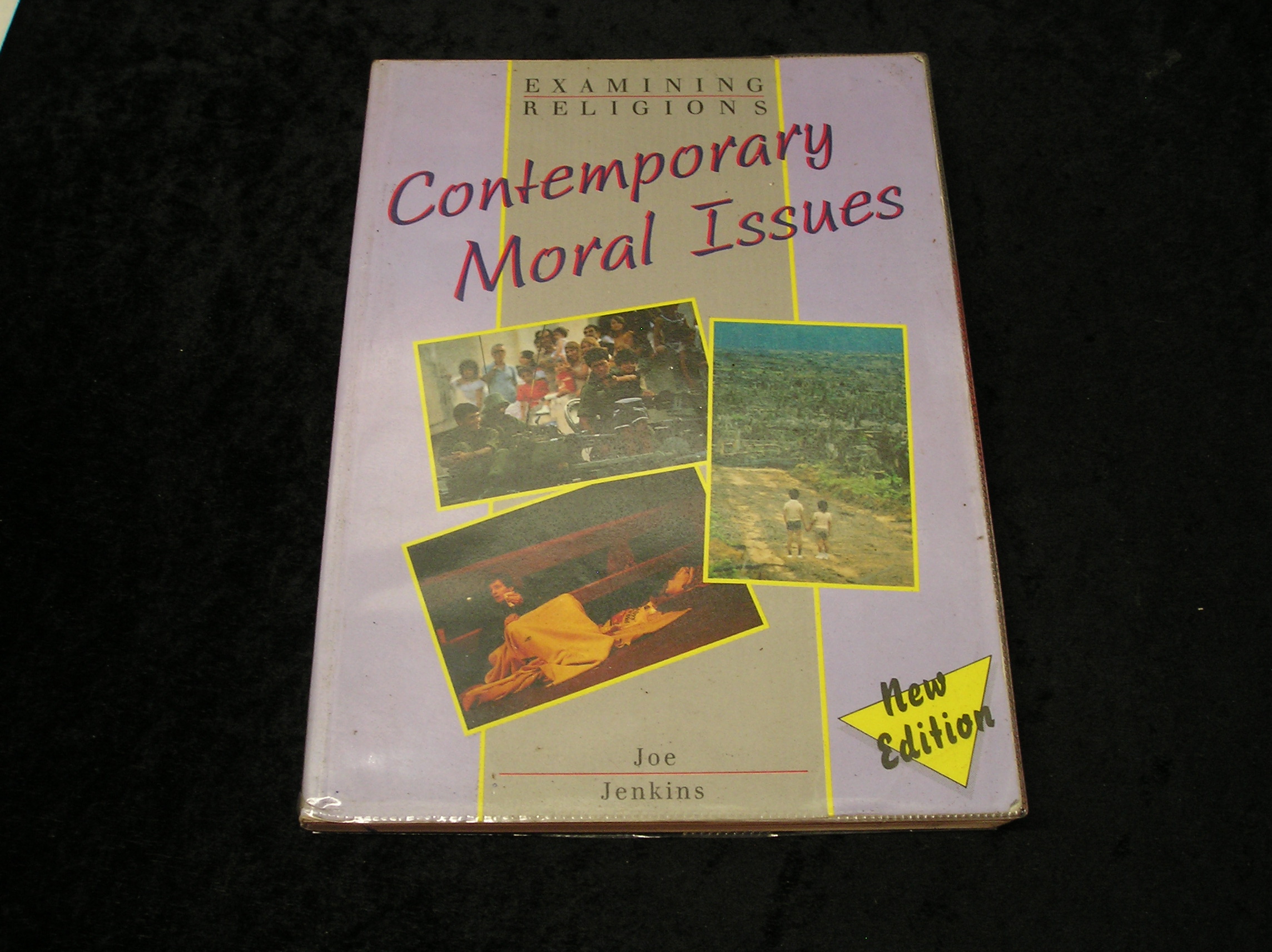 Image 0 of Examining Religions Contemporary Moral Issues