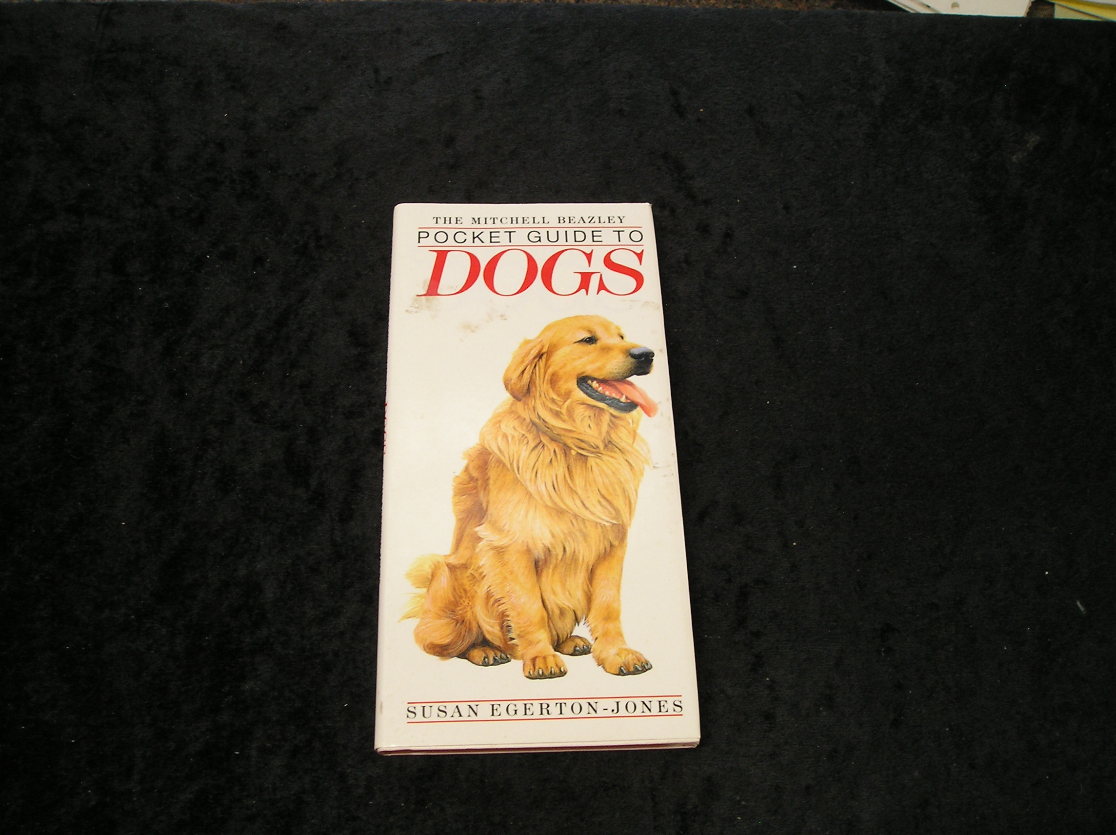 Image 0 of The Mitchell Beazley Pocket Guide to Dogs