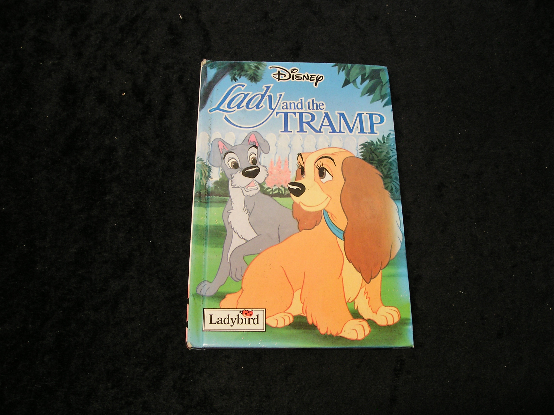 Image 0 of Lady and the tramp