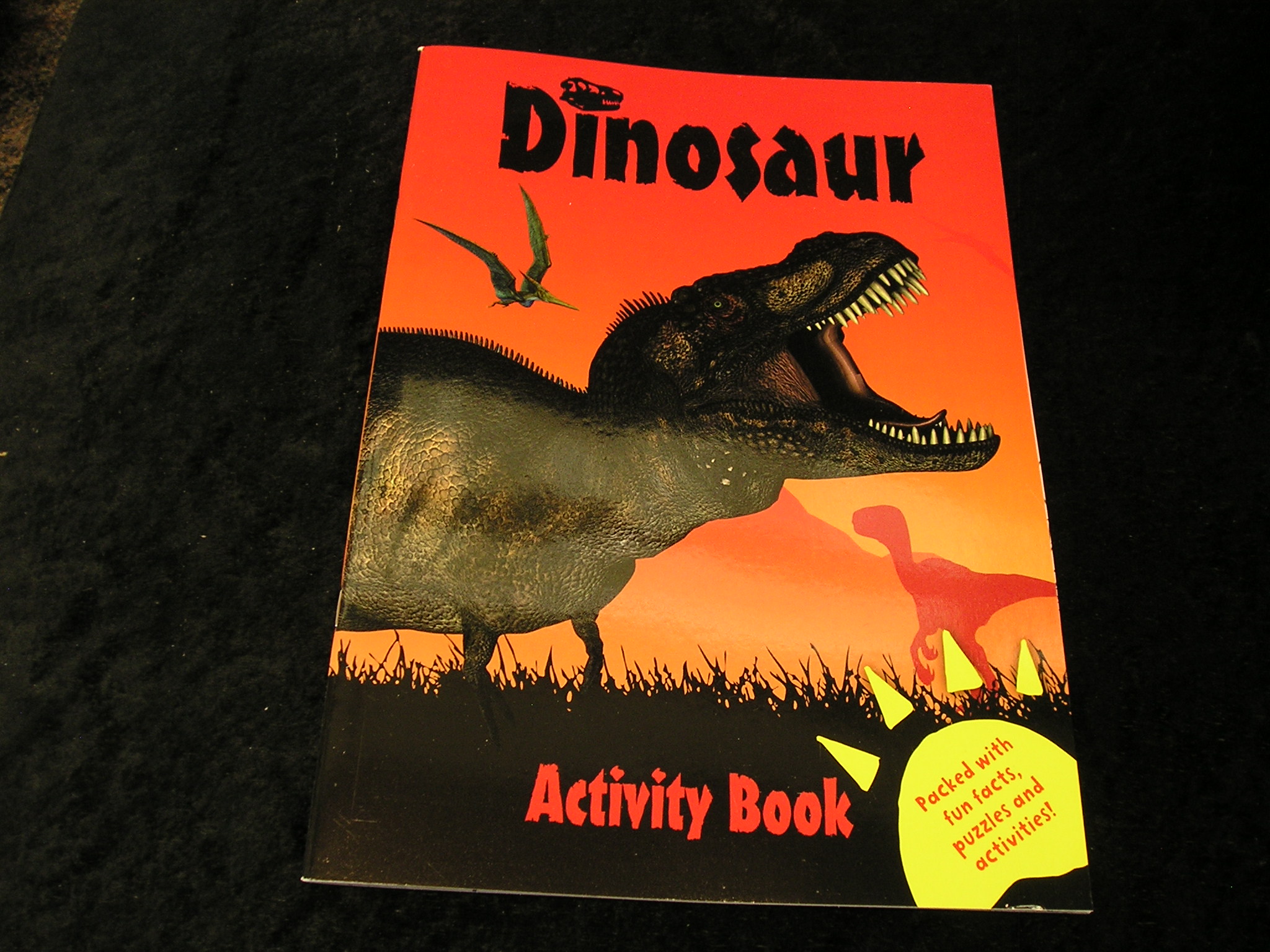 Image 0 of Dinosaur Activity Book