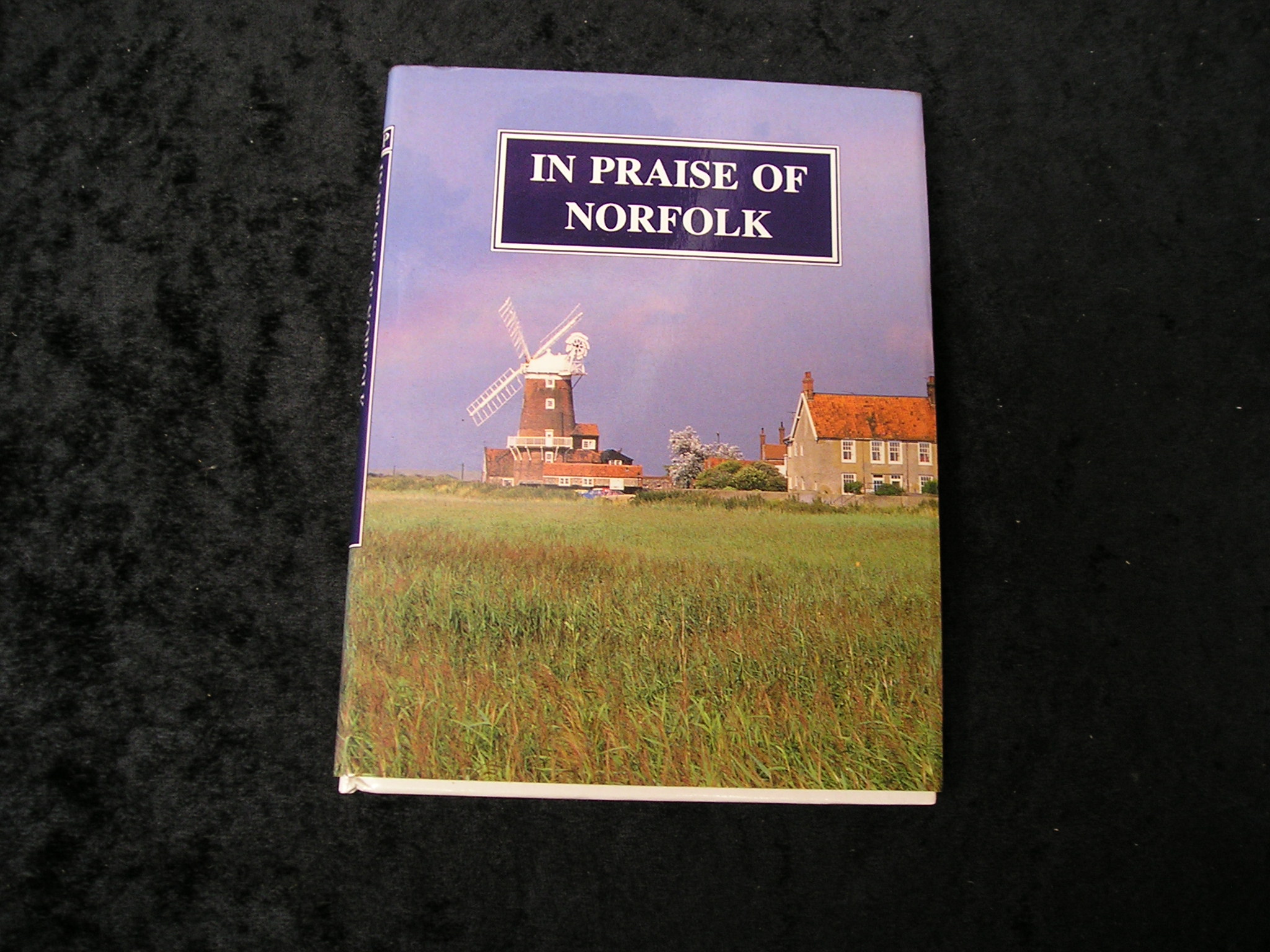 Image 0 of In Praise of Norfolk