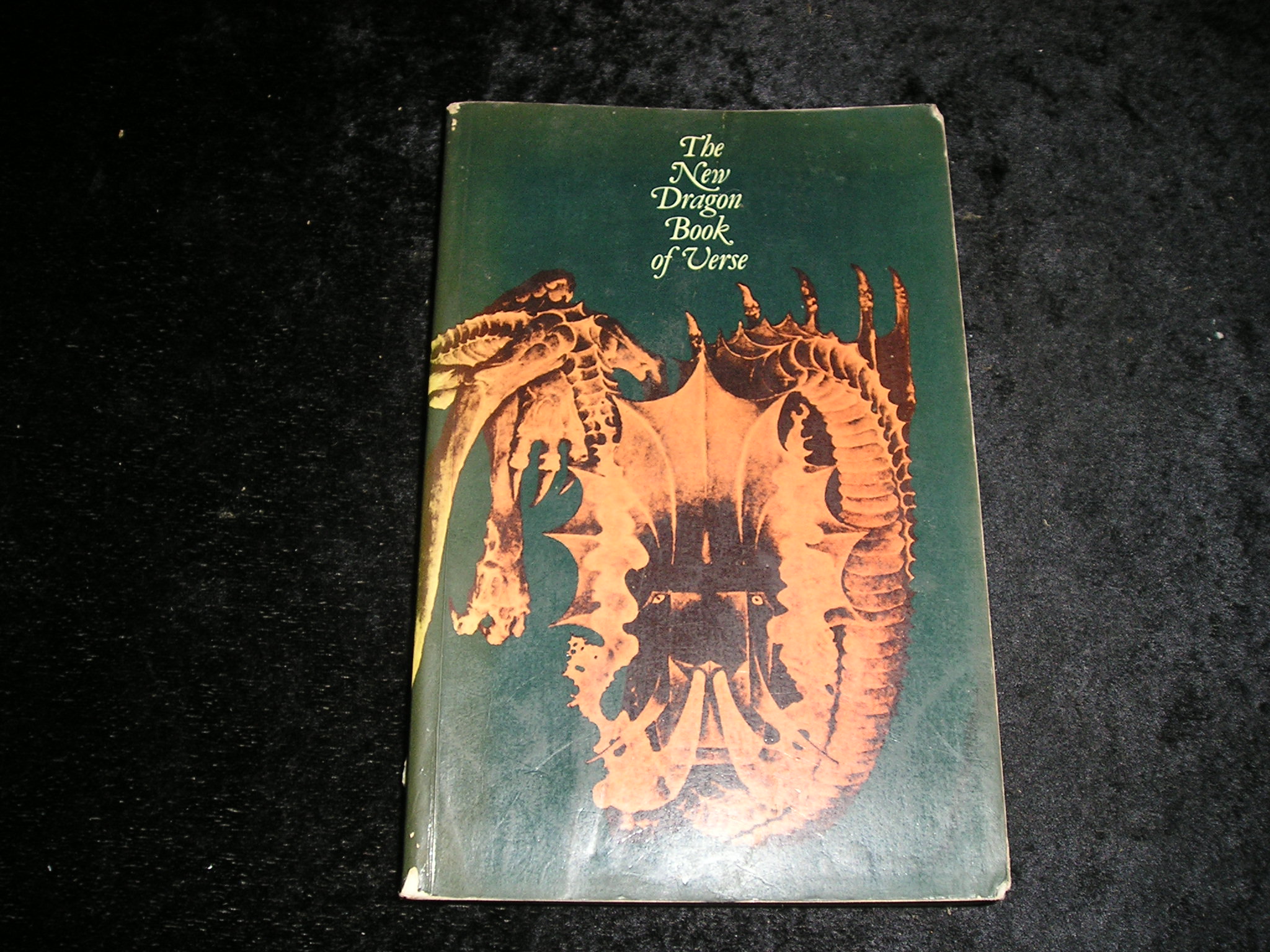 Image 0 of The New Dragon Book of Verse