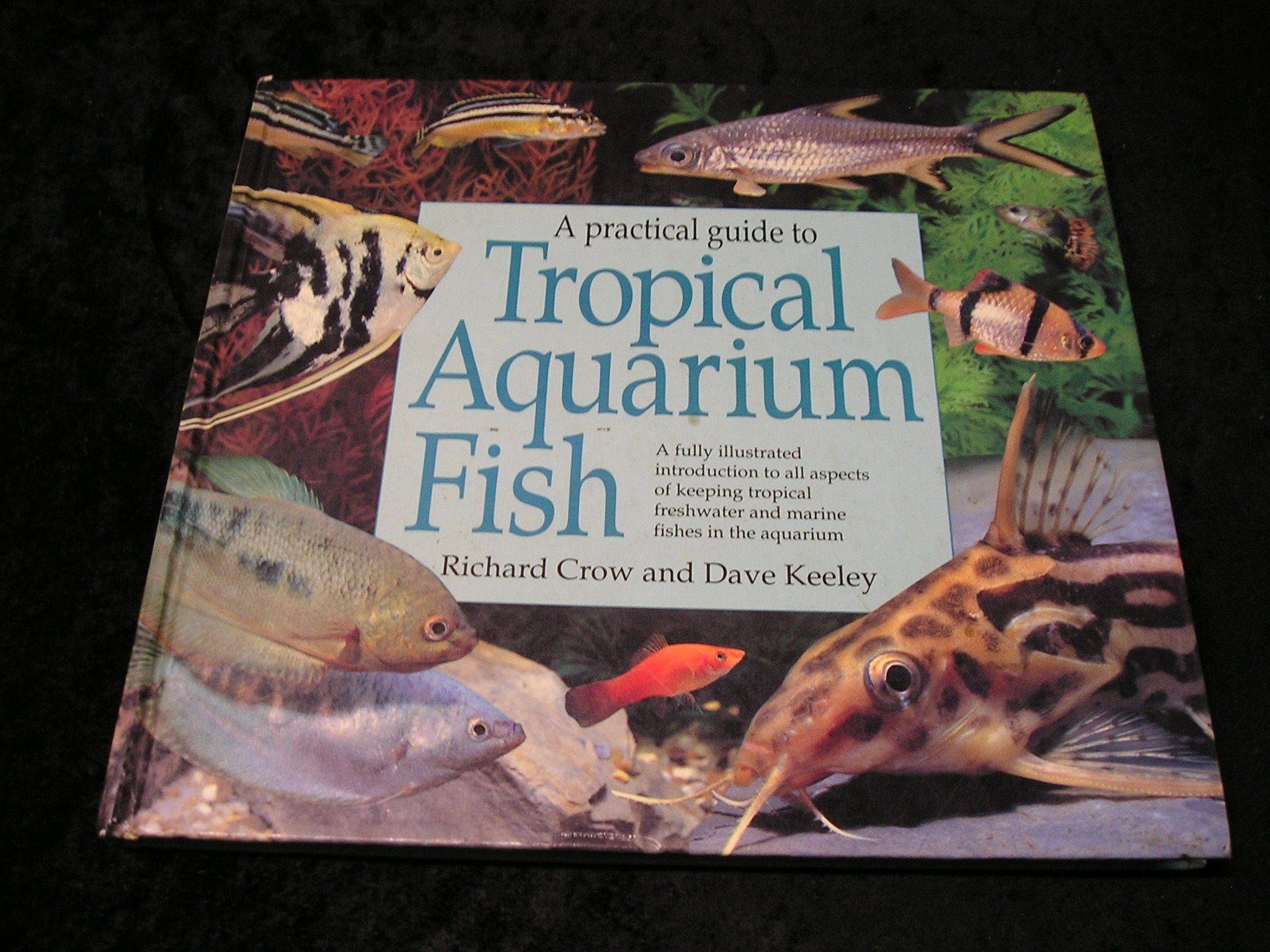 A Practical Guide to Tropical Aquarium Fish