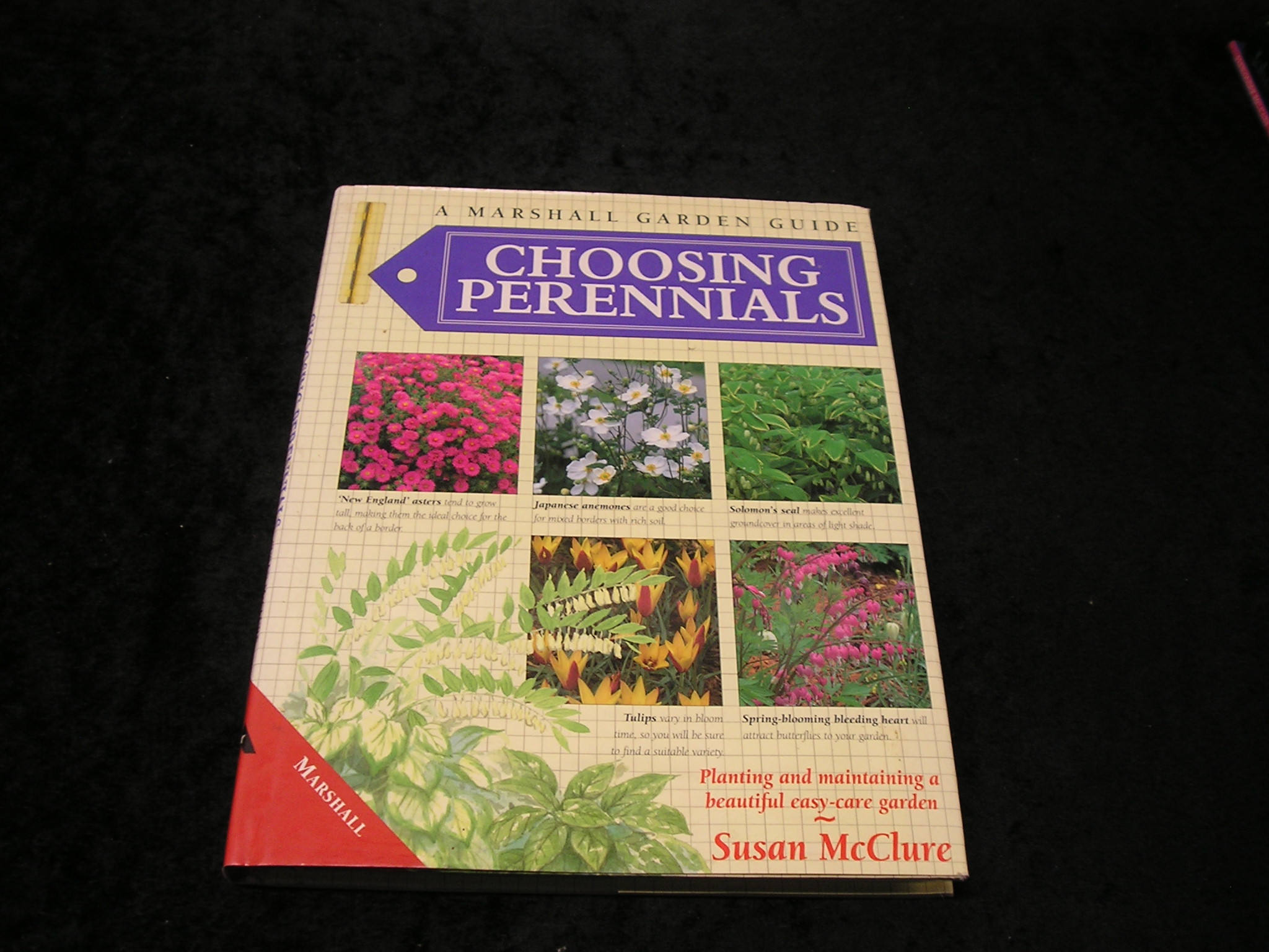 Image 0 of Choosing Perennials