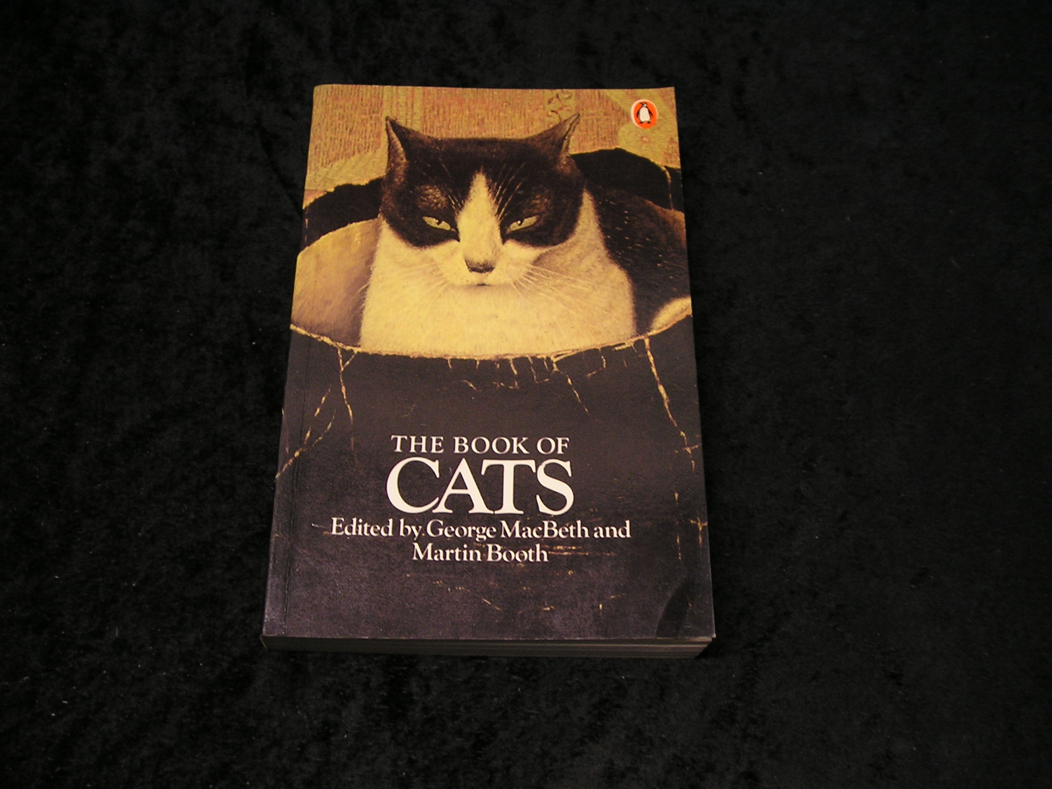 Image 0 of The Book of Cats