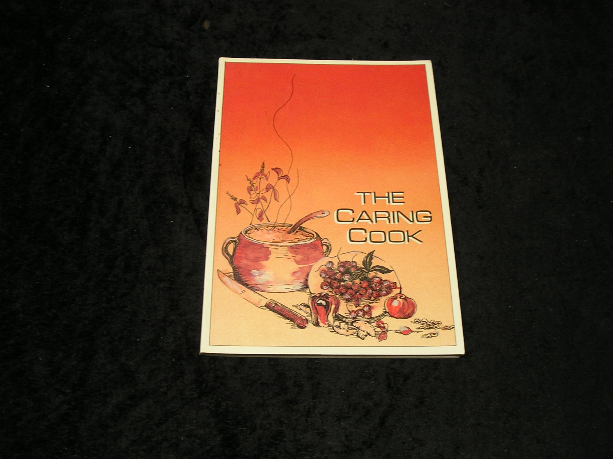 Image 0 of The Caring Book