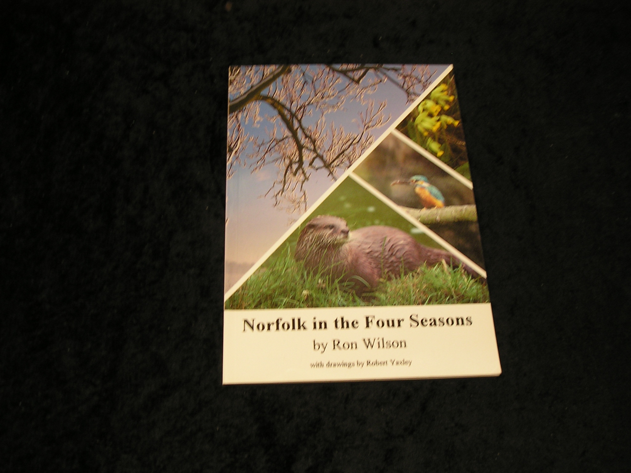 Image 0 of Norfolk in the Four Seasons