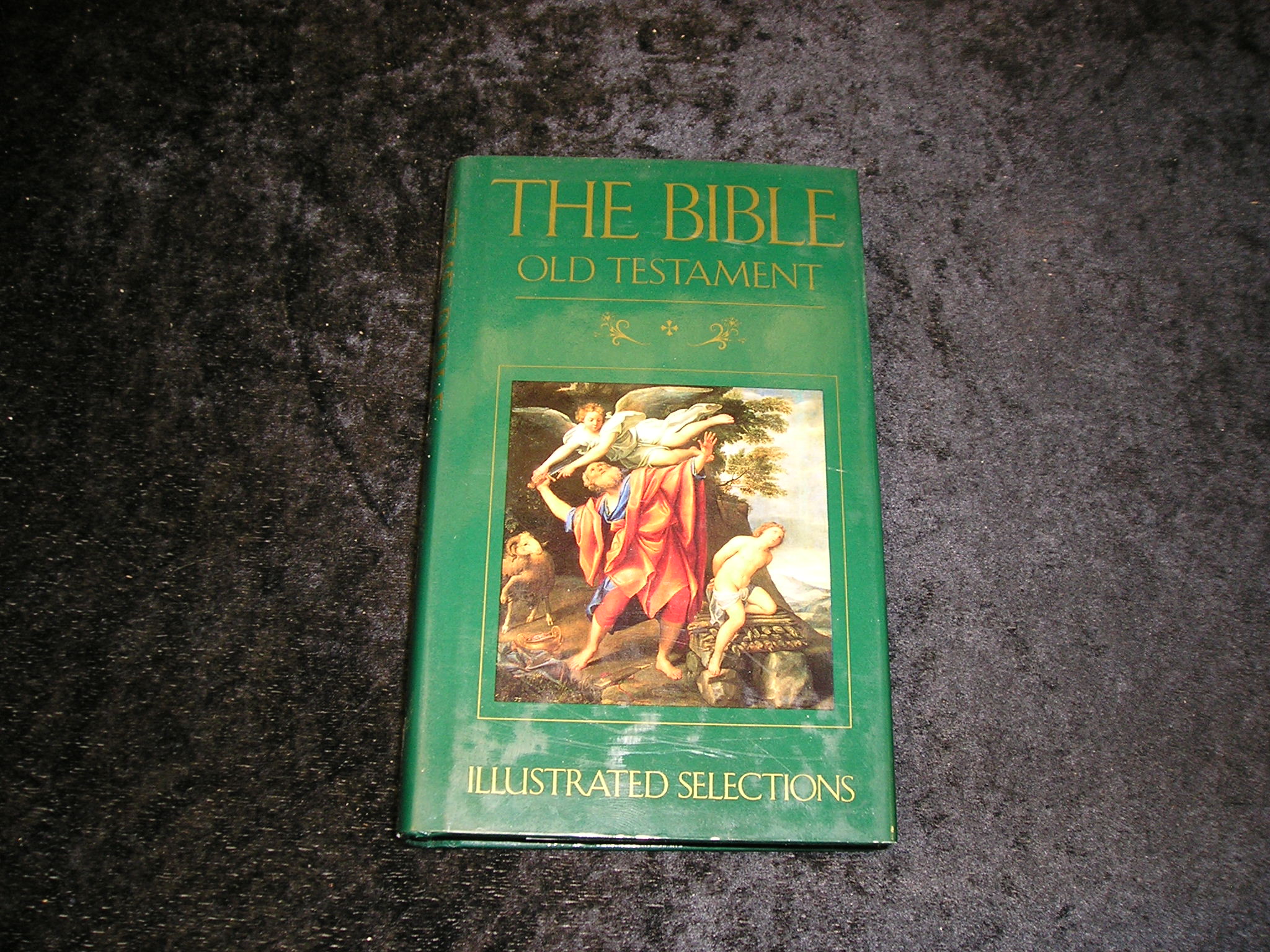 Image 0 of The Bible Old Testament