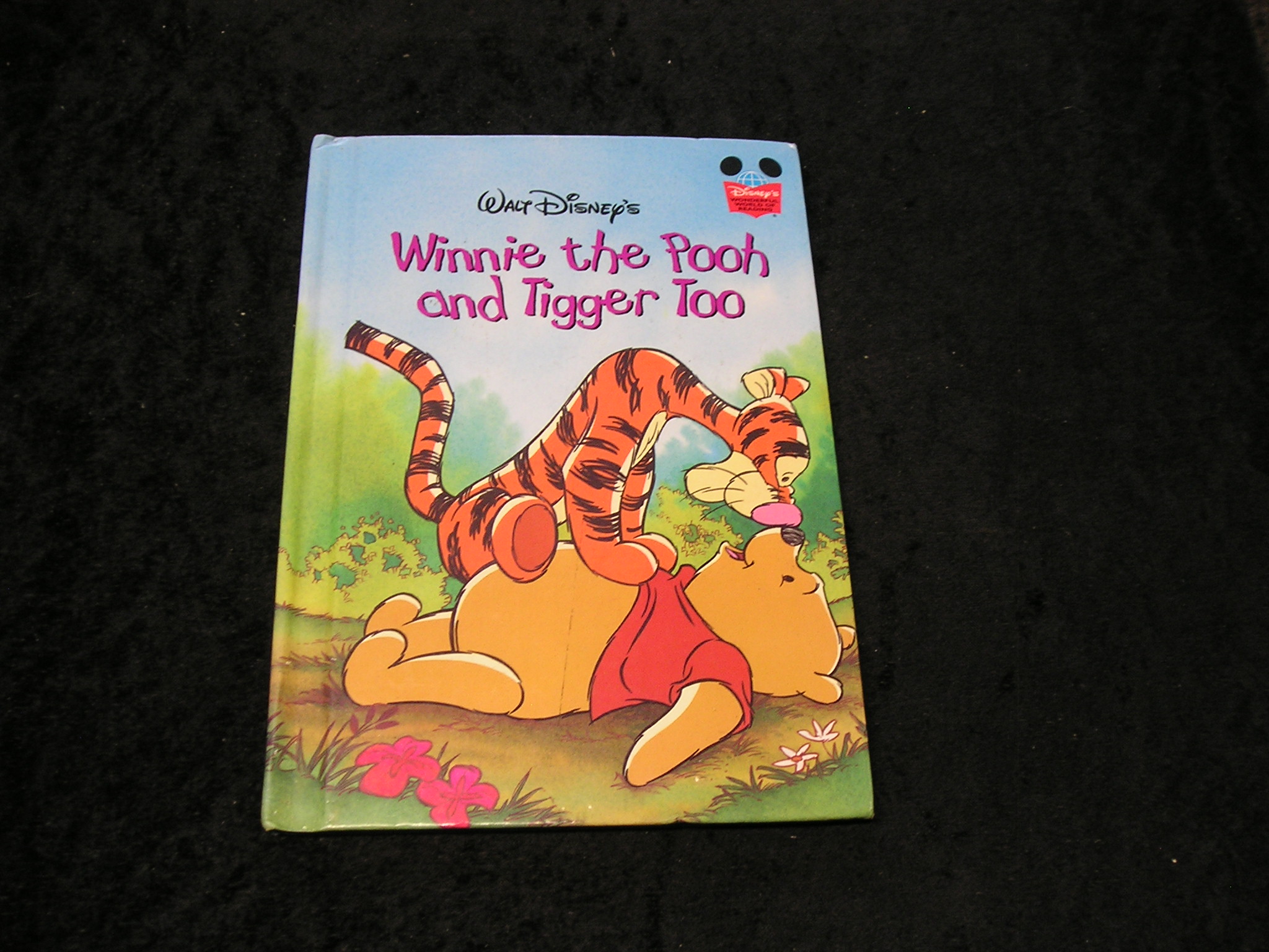 Image 0 of Winnie the Pooh and Tigger Too