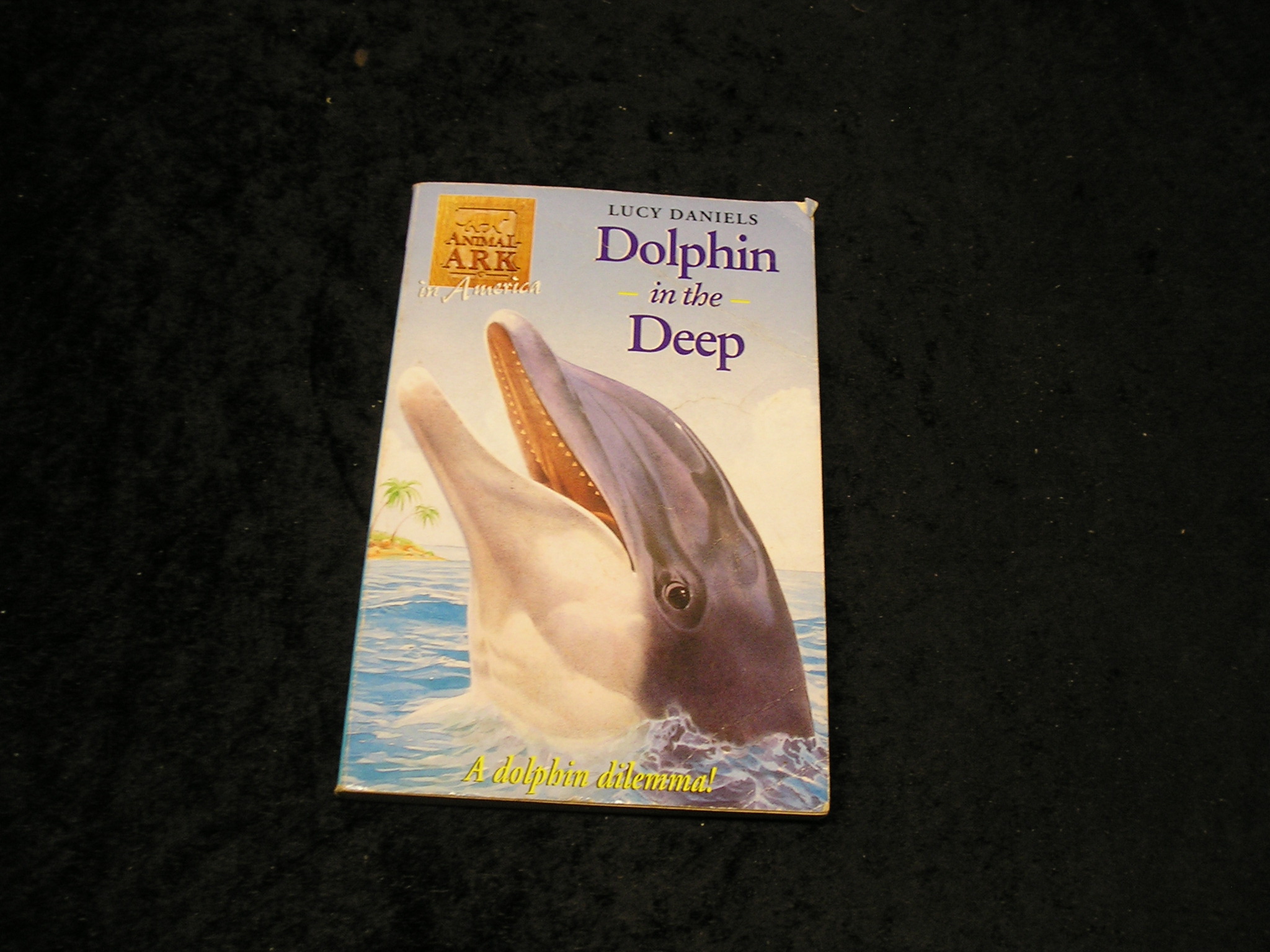 Image 0 of Dolphin in the Deep