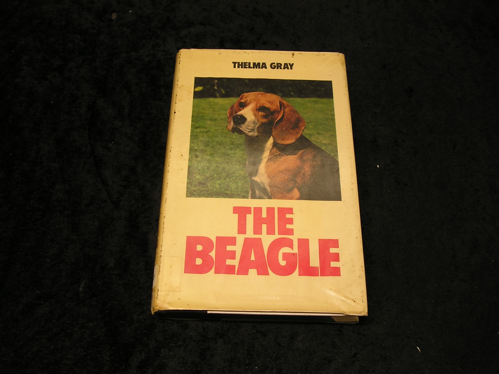 Image 0 of The Beagle