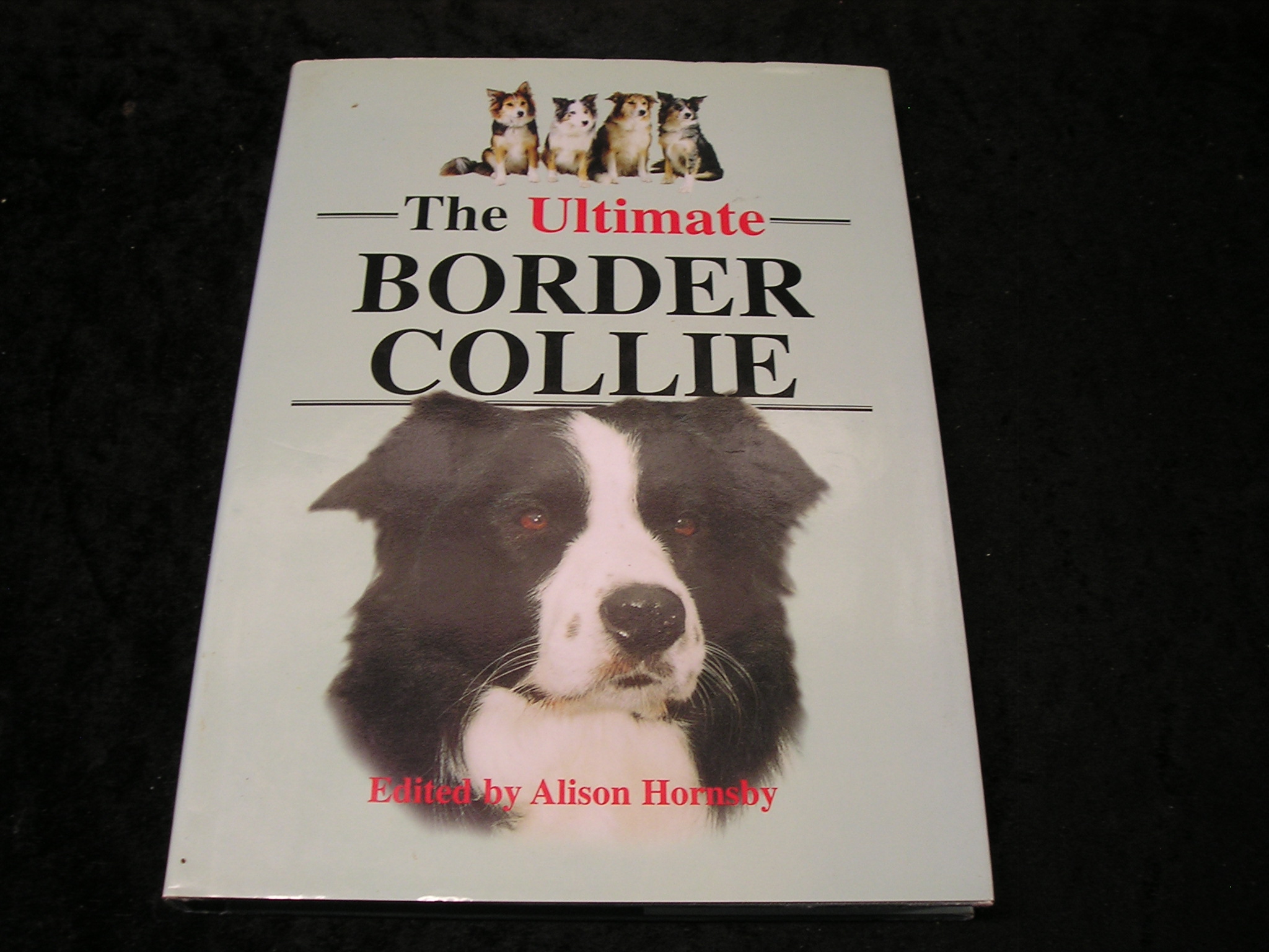 Image 0 of The Ultimate Border Collie