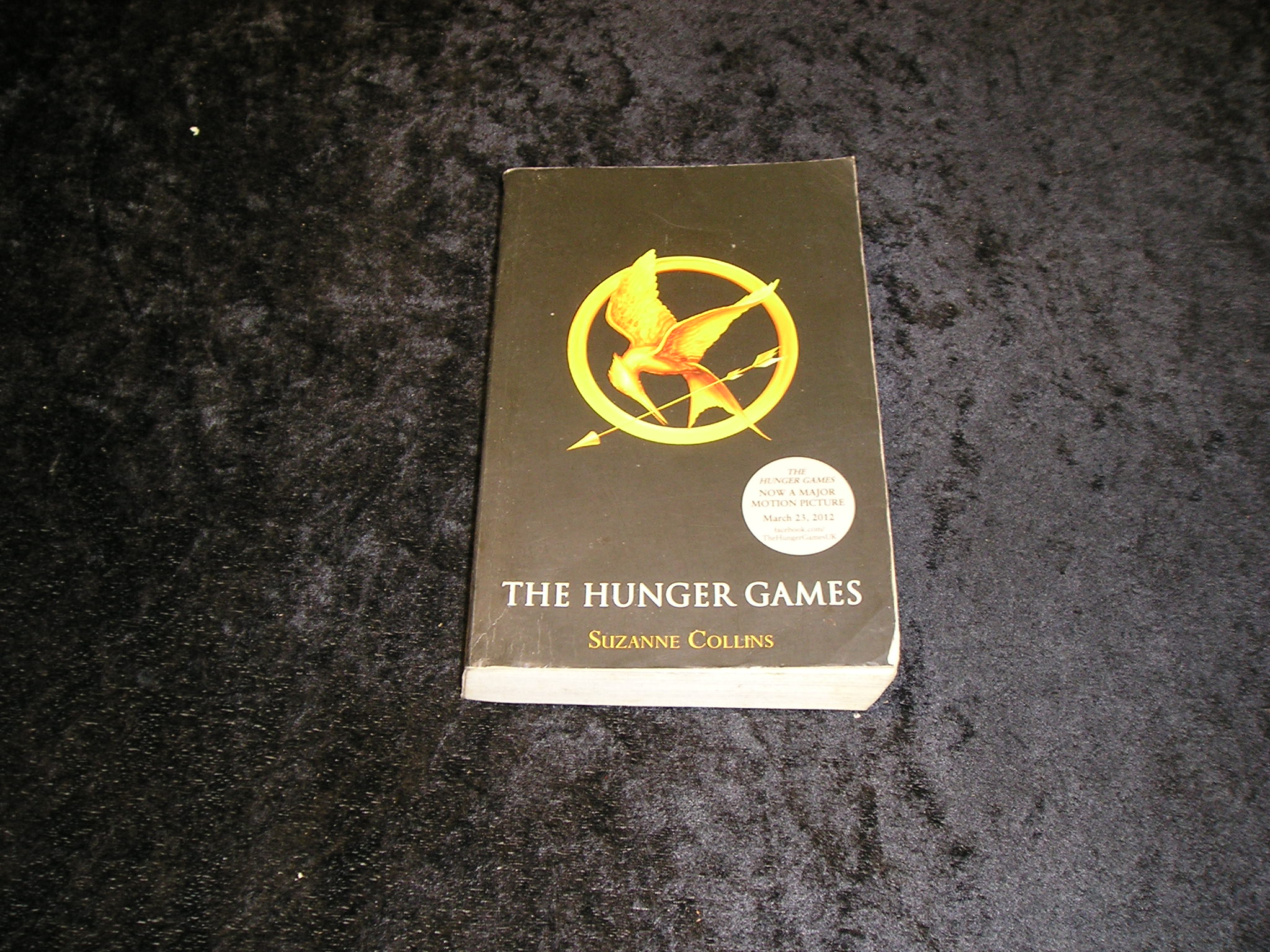 Image 0 of The Hunger Games