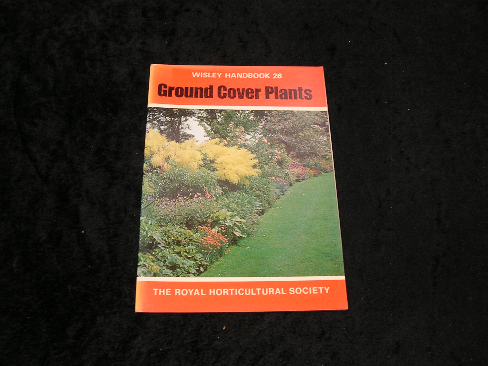 Image 0 of Ground Cover Plants