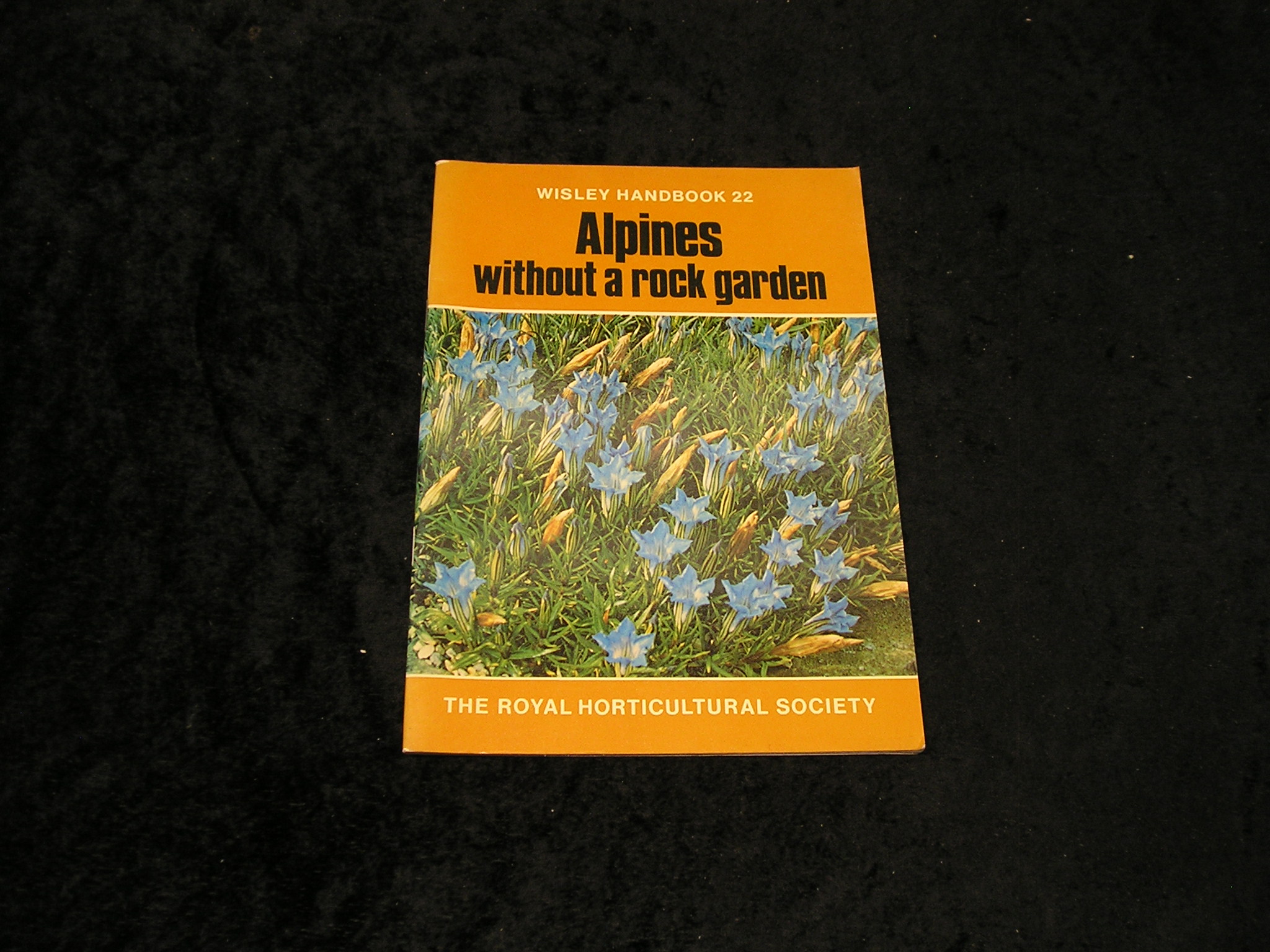 Alpines Without a Rock garden