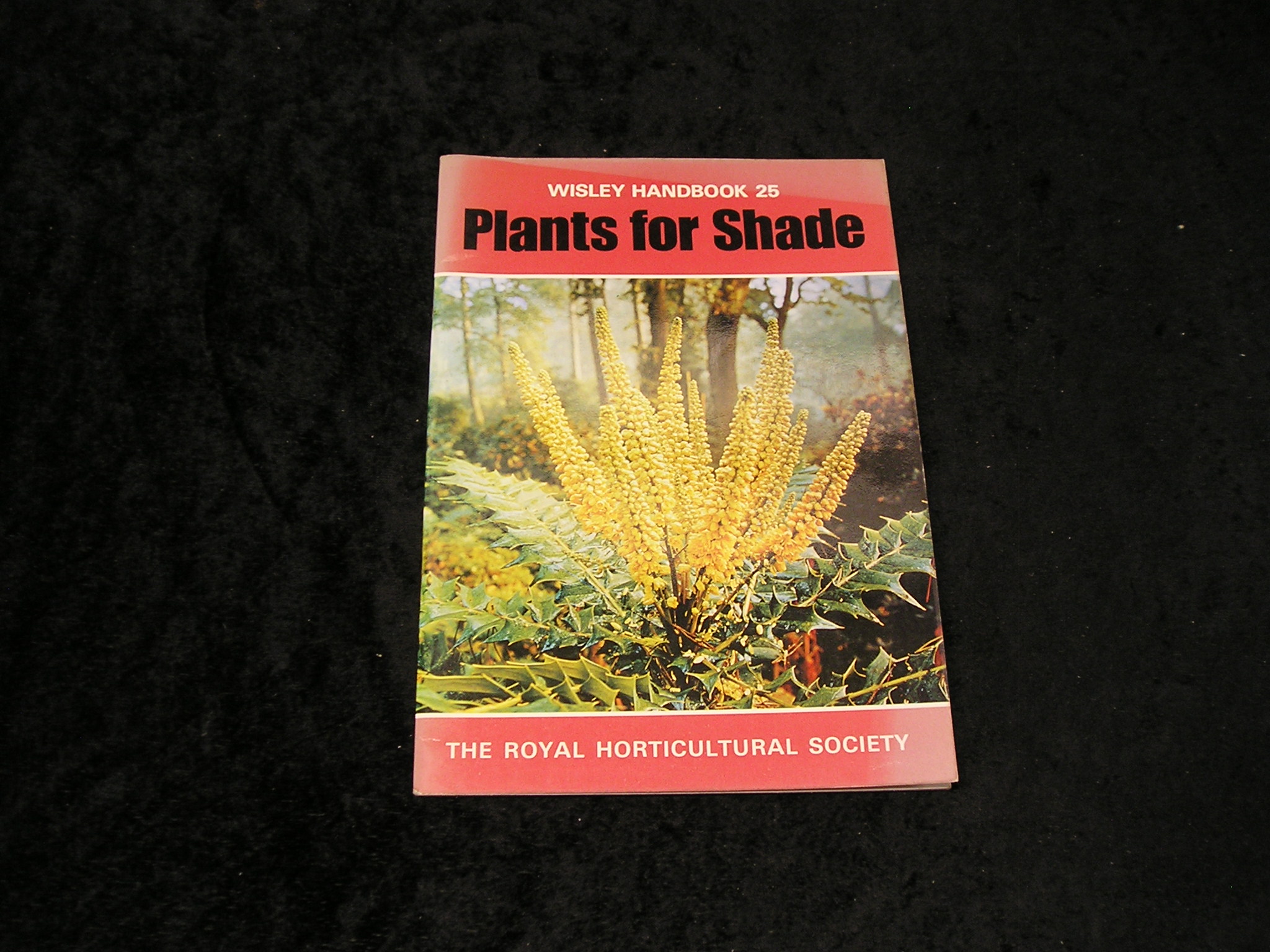 Image 0 of Plants for Shade