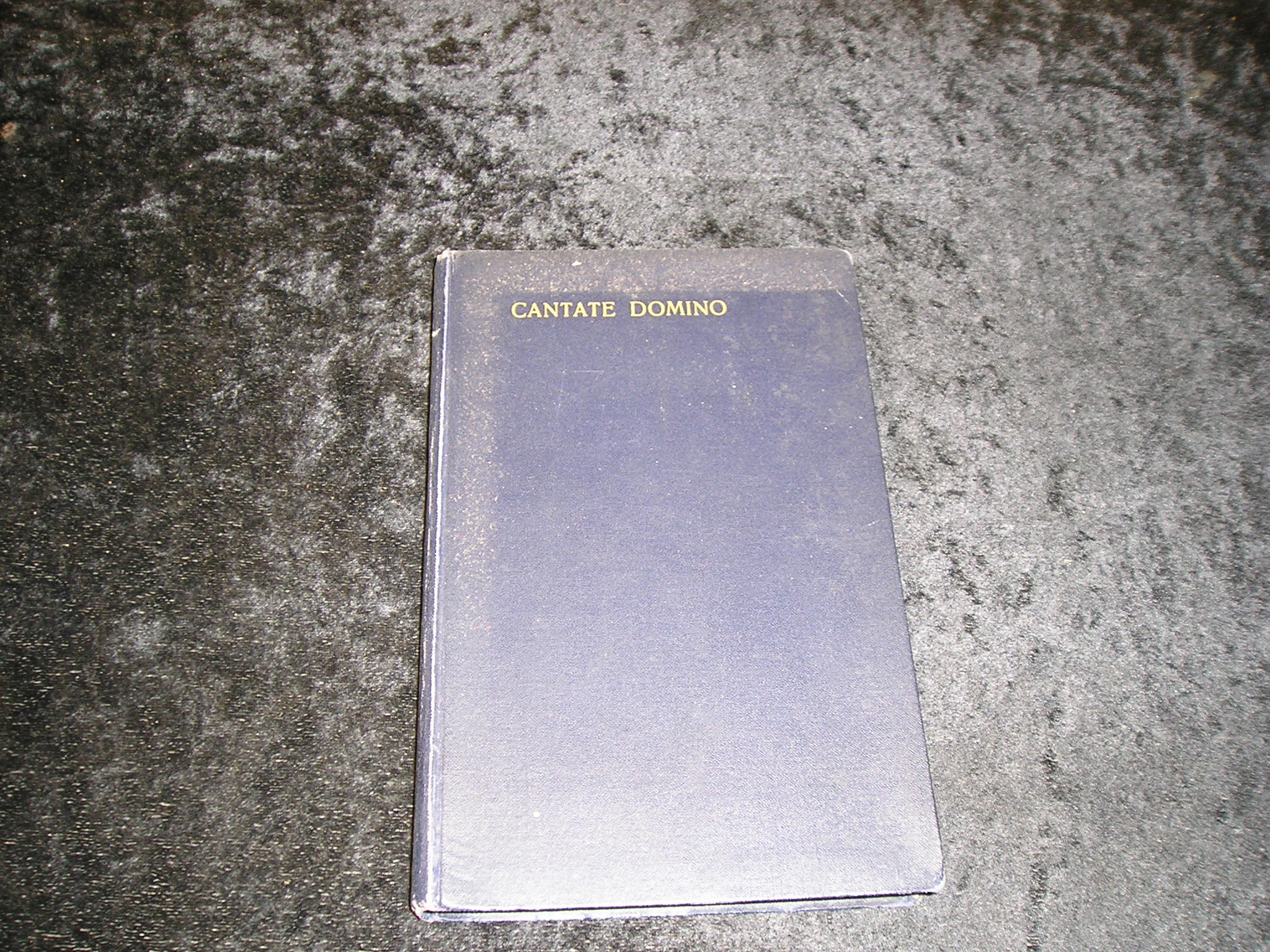 Image 0 of Cantate Domino Navy Blue Cover