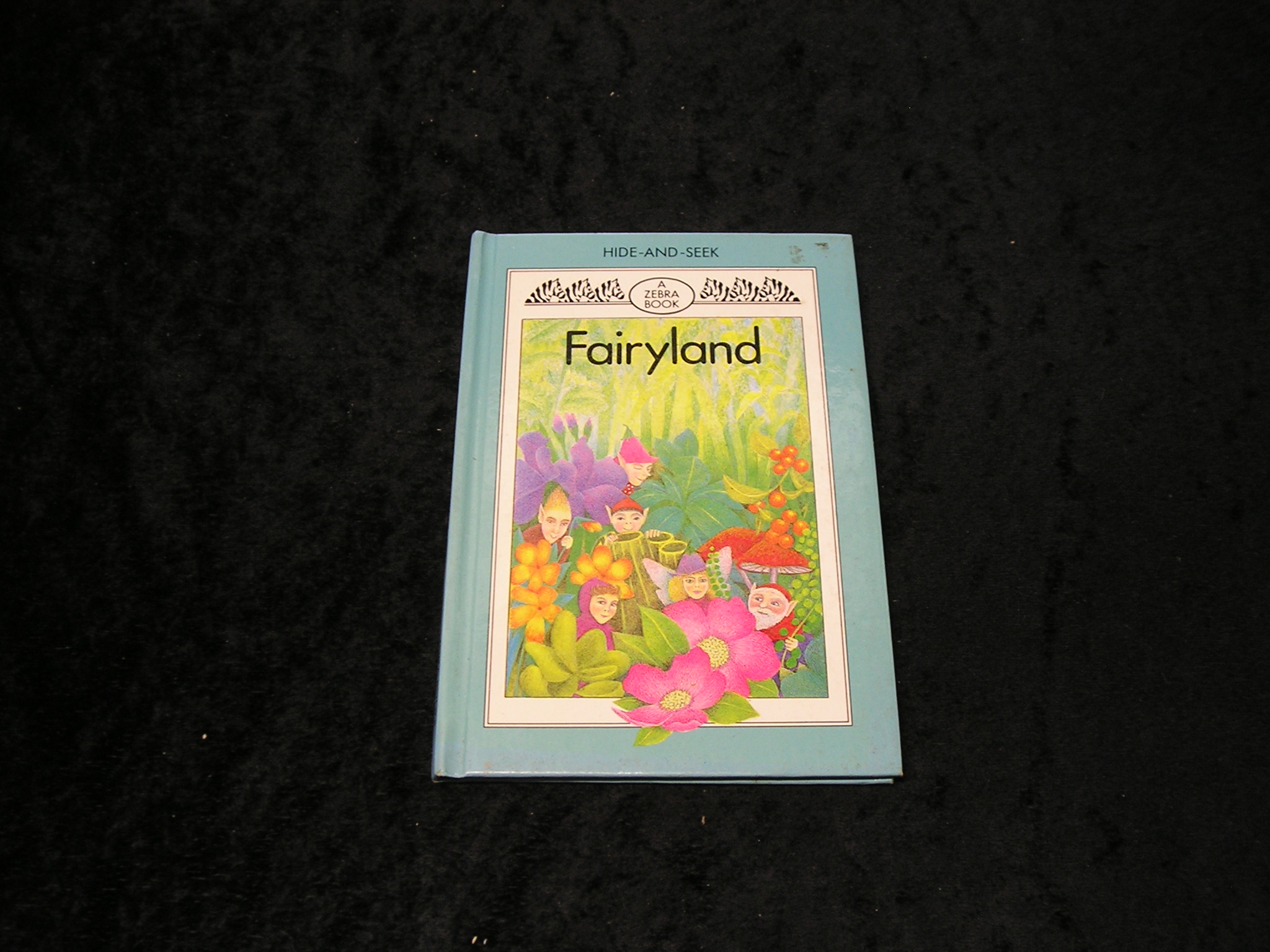 Image 0 of Fairyland