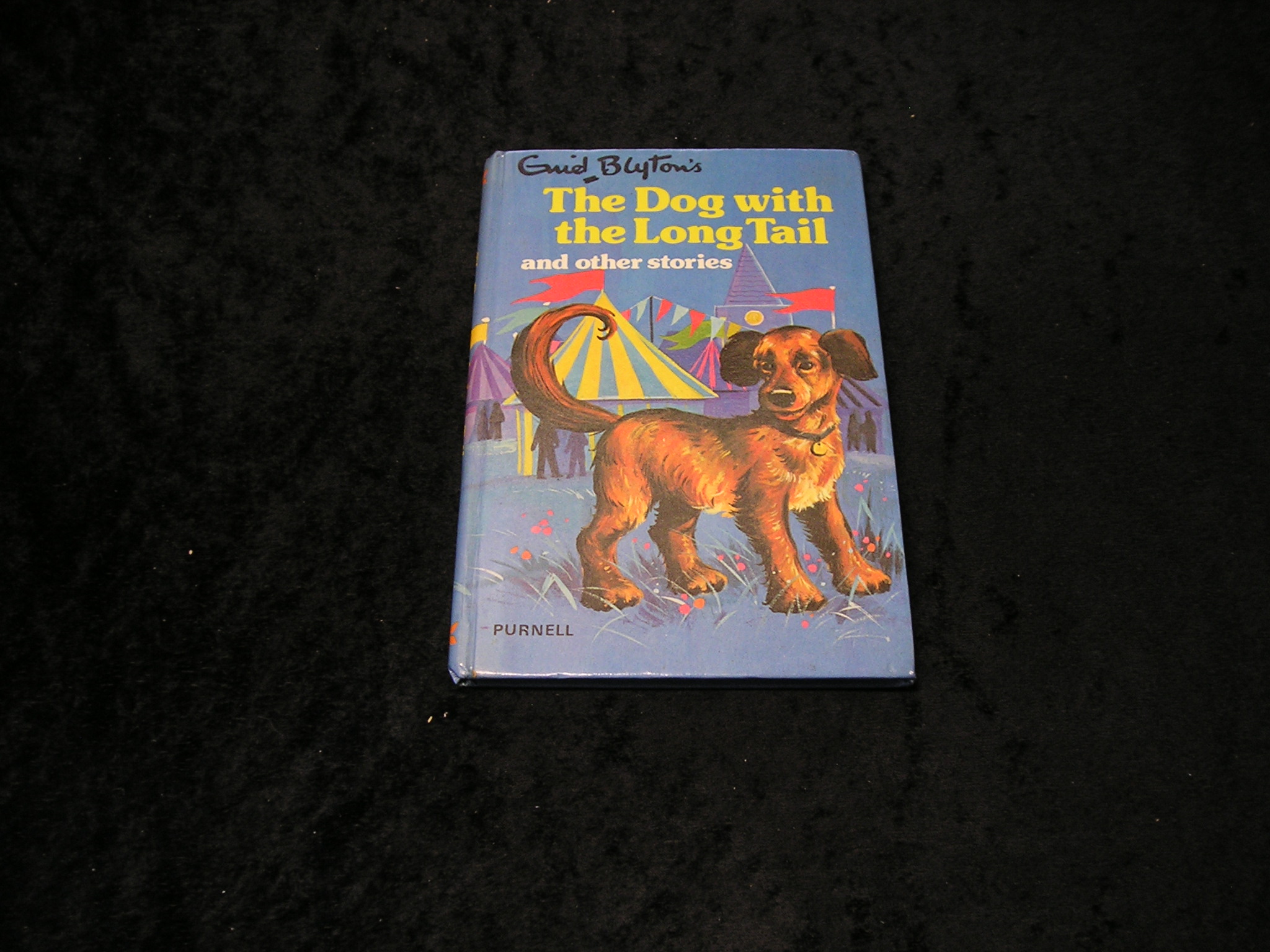 Image 0 of The Dog With the Long Tail and other Stories