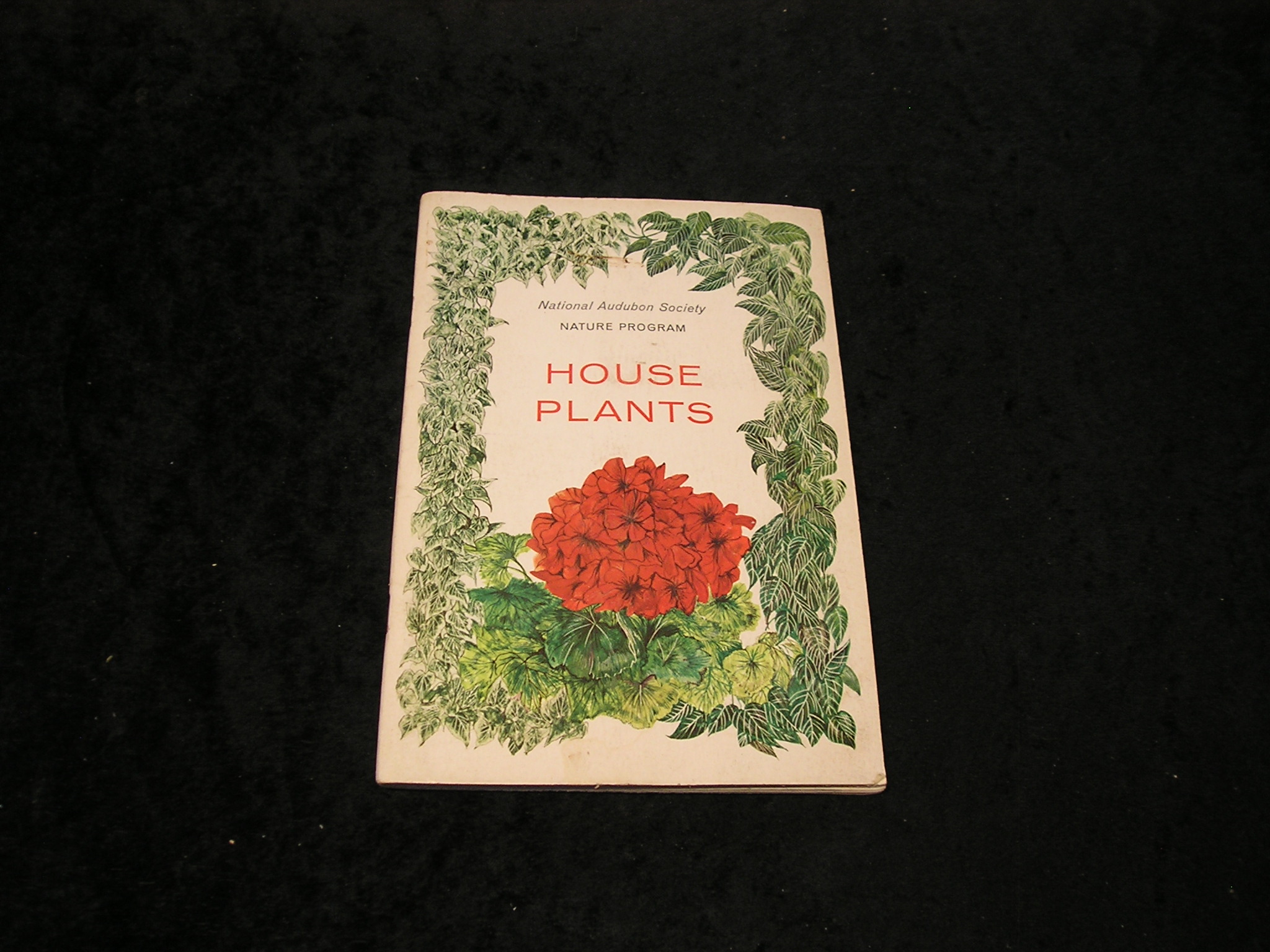 Image 0 of House Plants