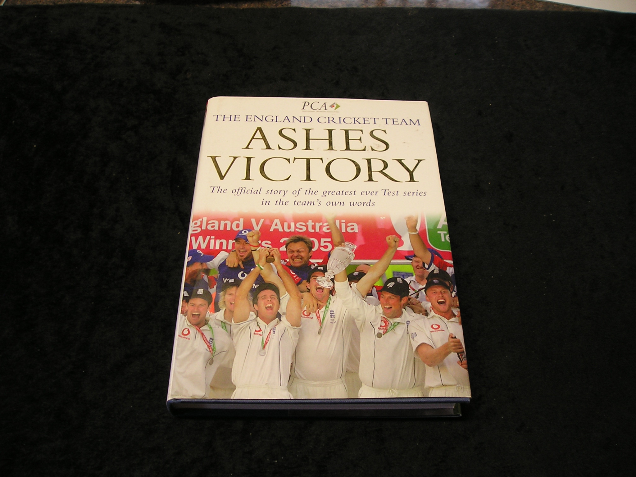 Image 0 of Ashes Victory