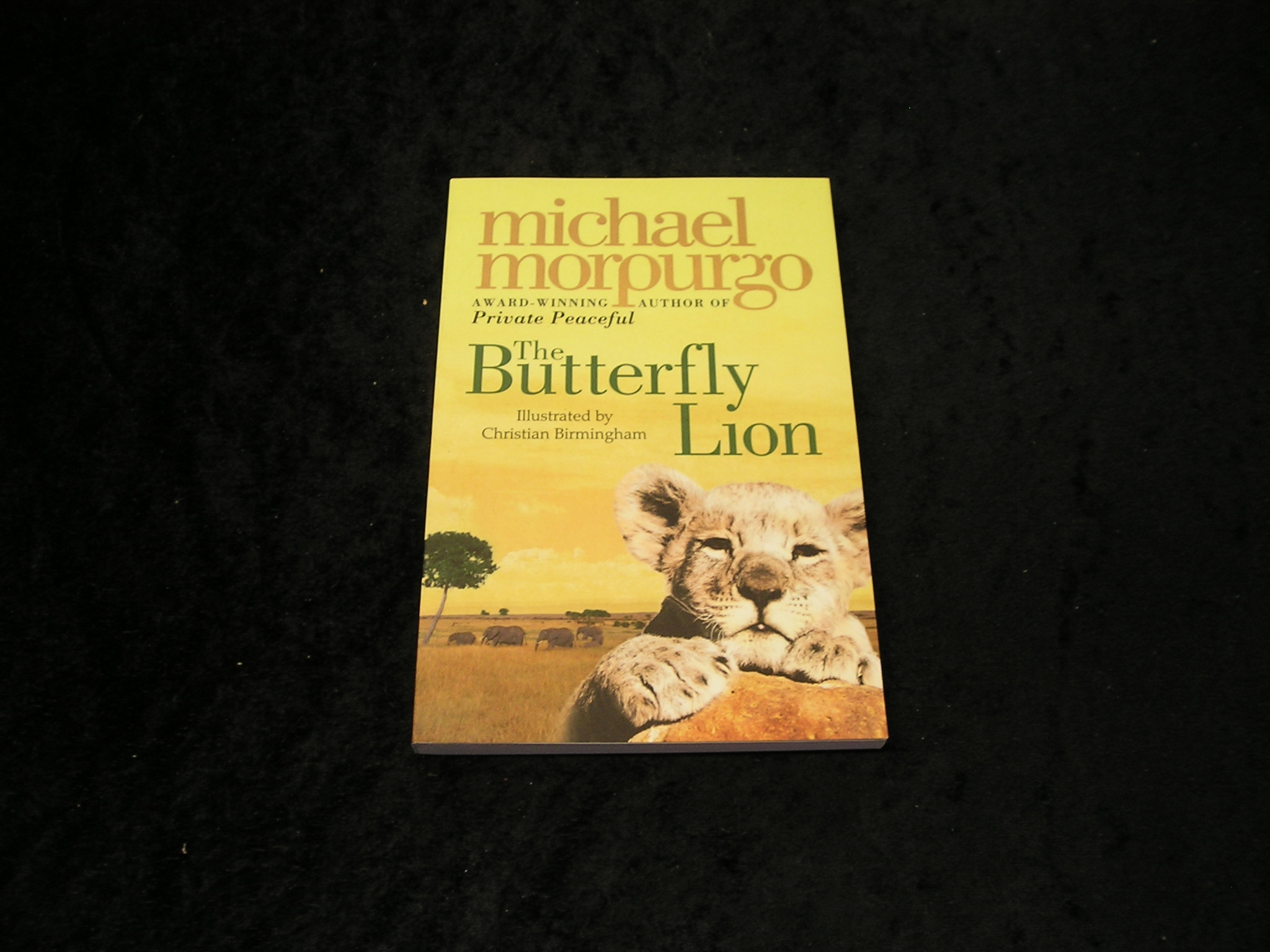 Image 0 of The Butterfly Lion
