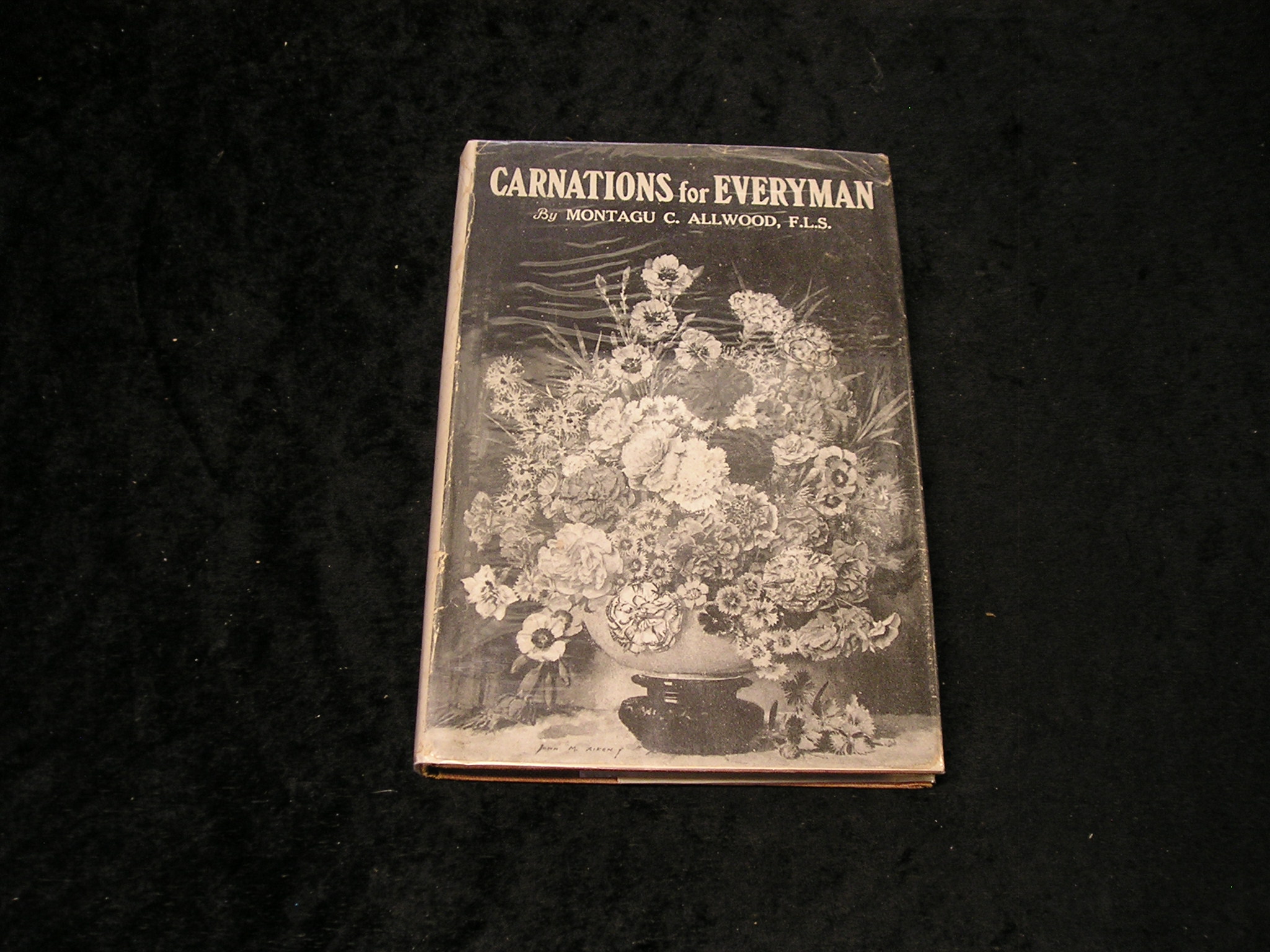 Image 0 of Carnations for Everyman