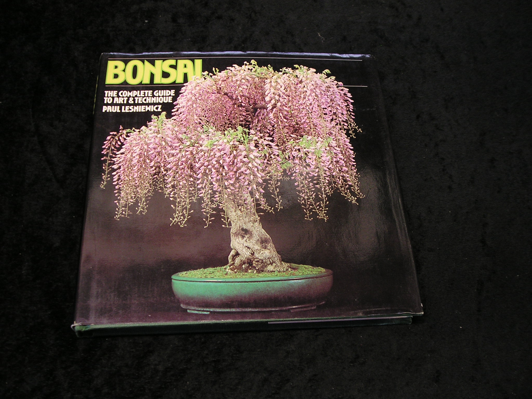 Image 0 of Bonsai