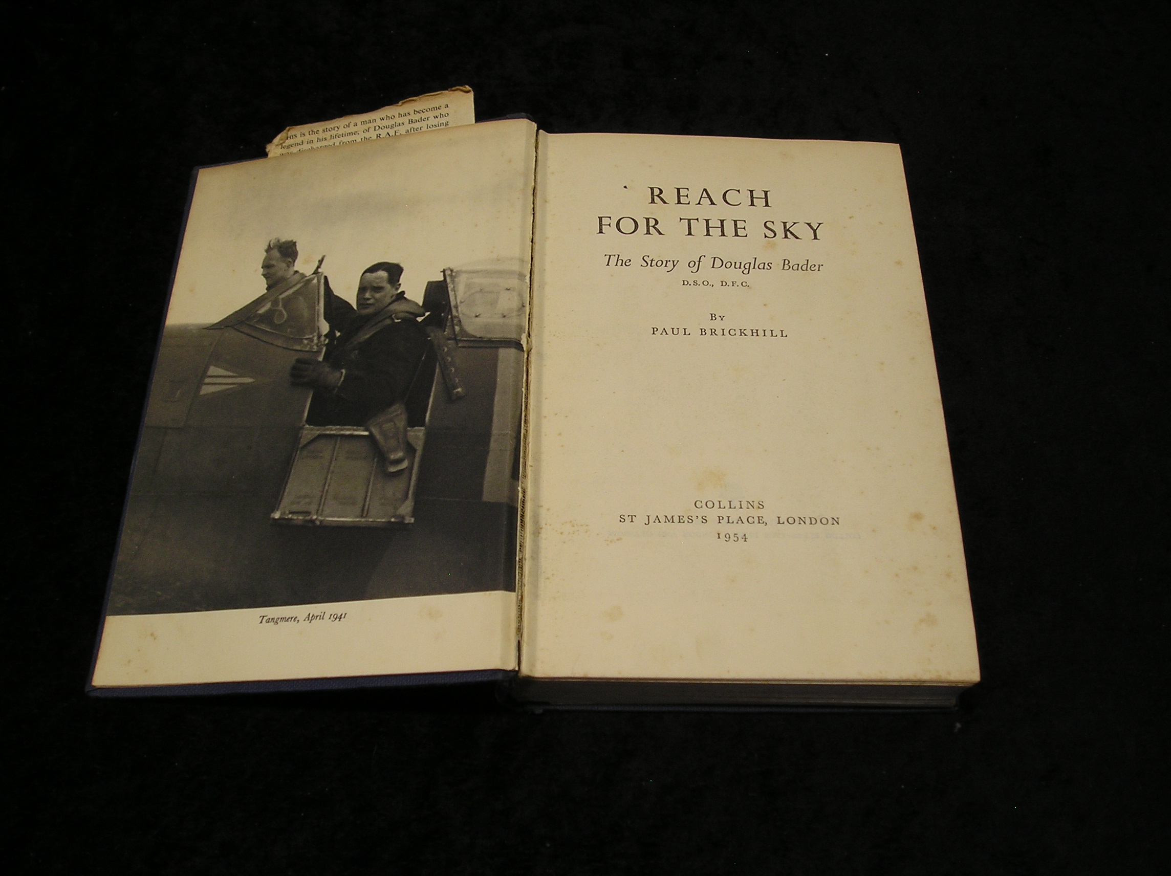 Image 0 of Reach for the Sky